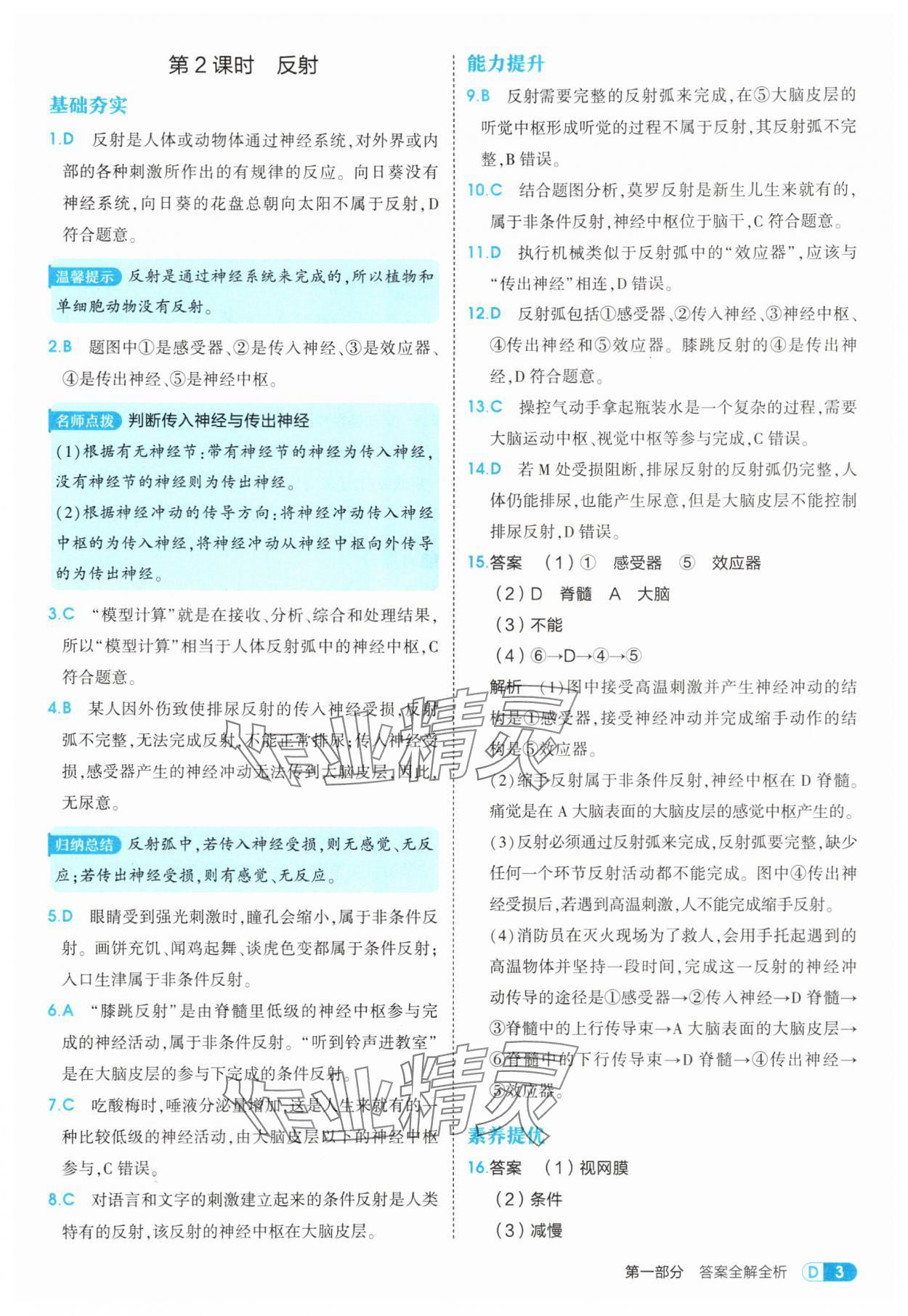 2025年5年中考3年模擬八年級(jí)生物上冊(cè)人教版 第3頁(yè)