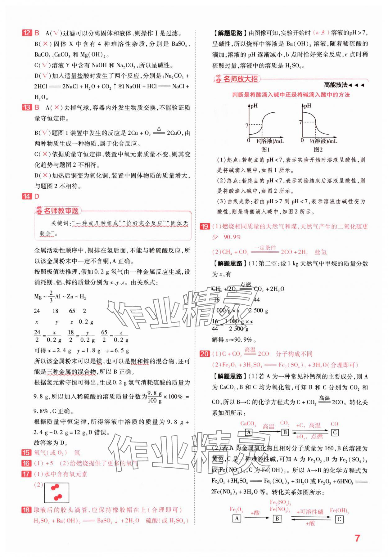 2025年金考卷百校聯(lián)盟系列中考領航卷化學河南專版 第7頁