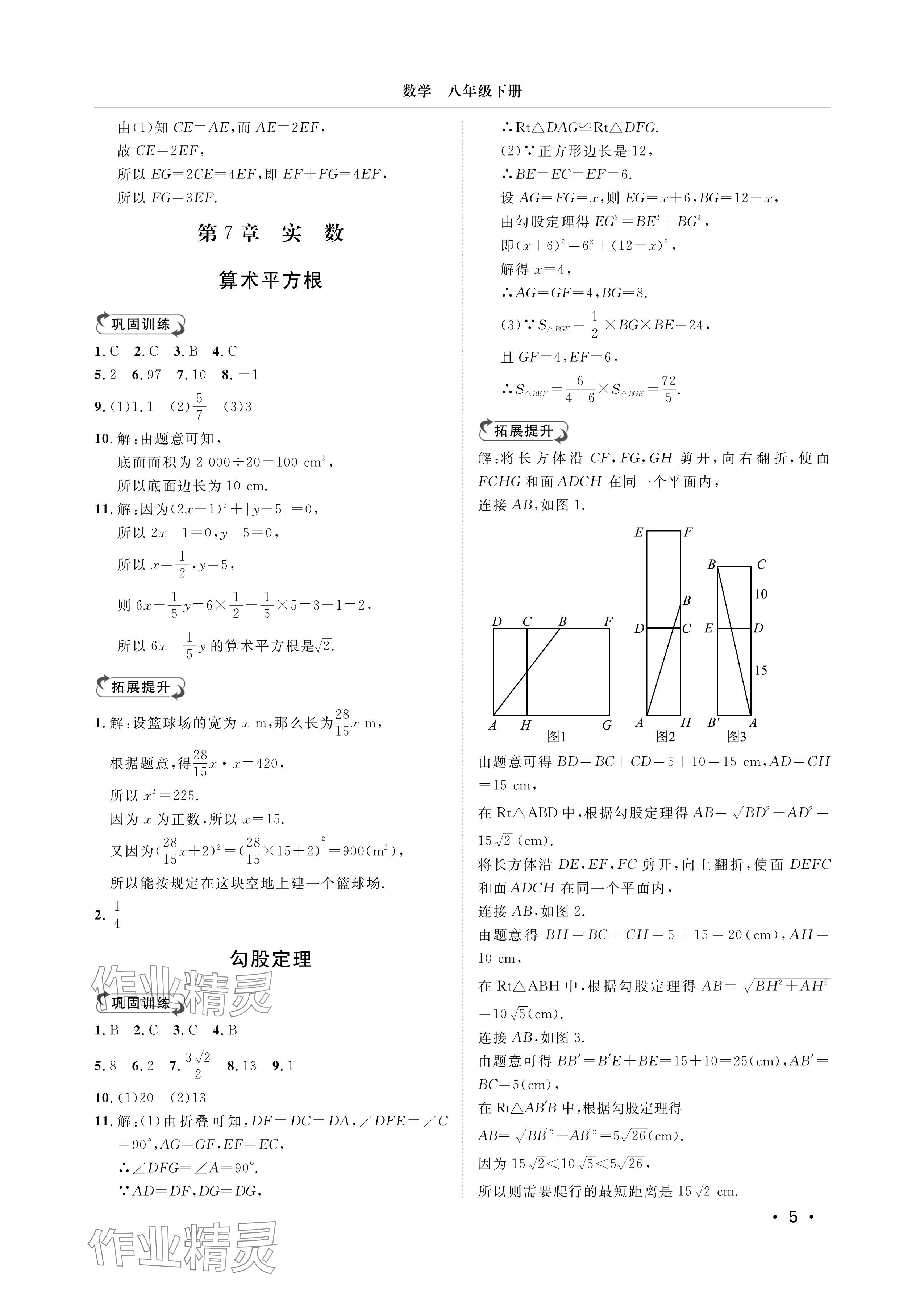 2025年行知天下八年級數(shù)學(xué)下冊青島版 參考答案第5頁