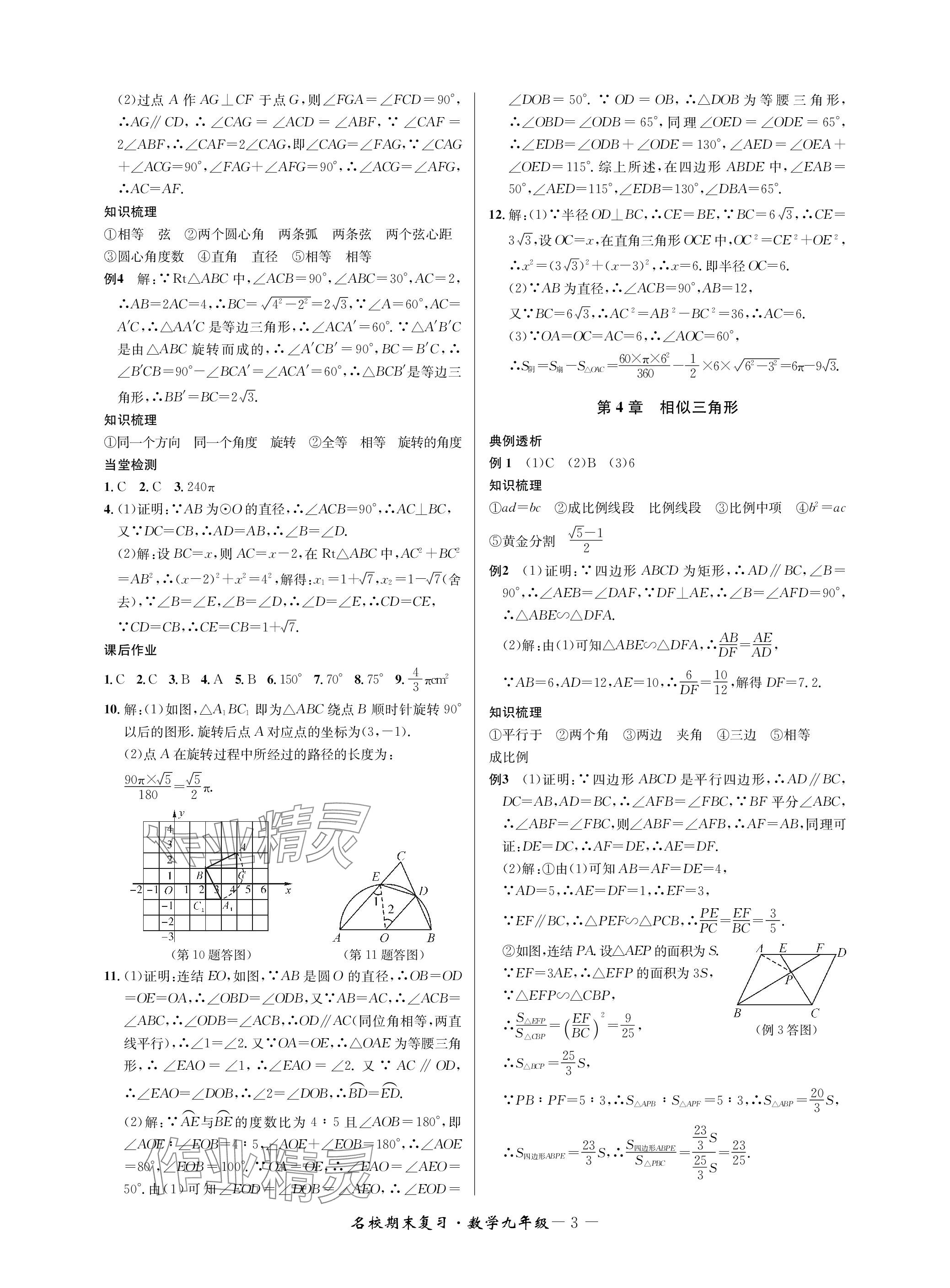 2024年名校期末复习宝典九年级数学全一册浙教版 参考答案第3页