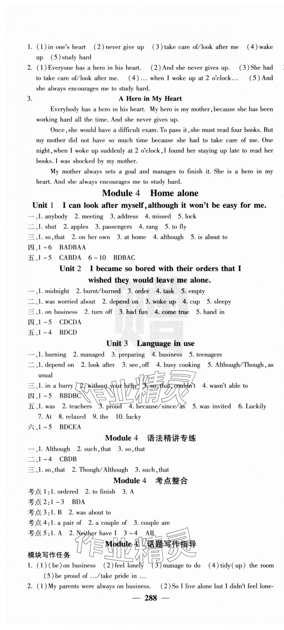 2024年名校課堂內(nèi)外九年級(jí)英語上冊(cè)外研版 第4頁