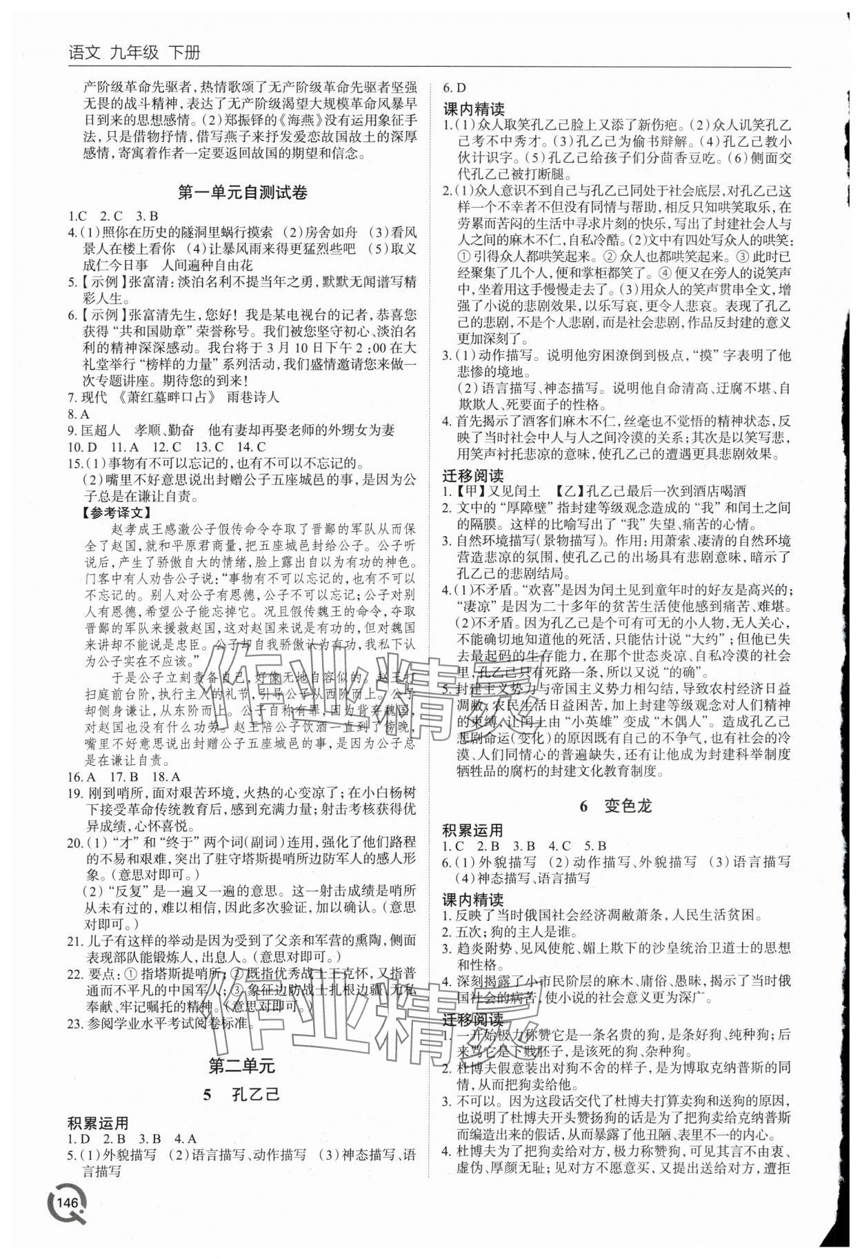 2024年同步練習(xí)冊(cè)青島出版社九年級(jí)語(yǔ)文下冊(cè)人教版 第2頁(yè)