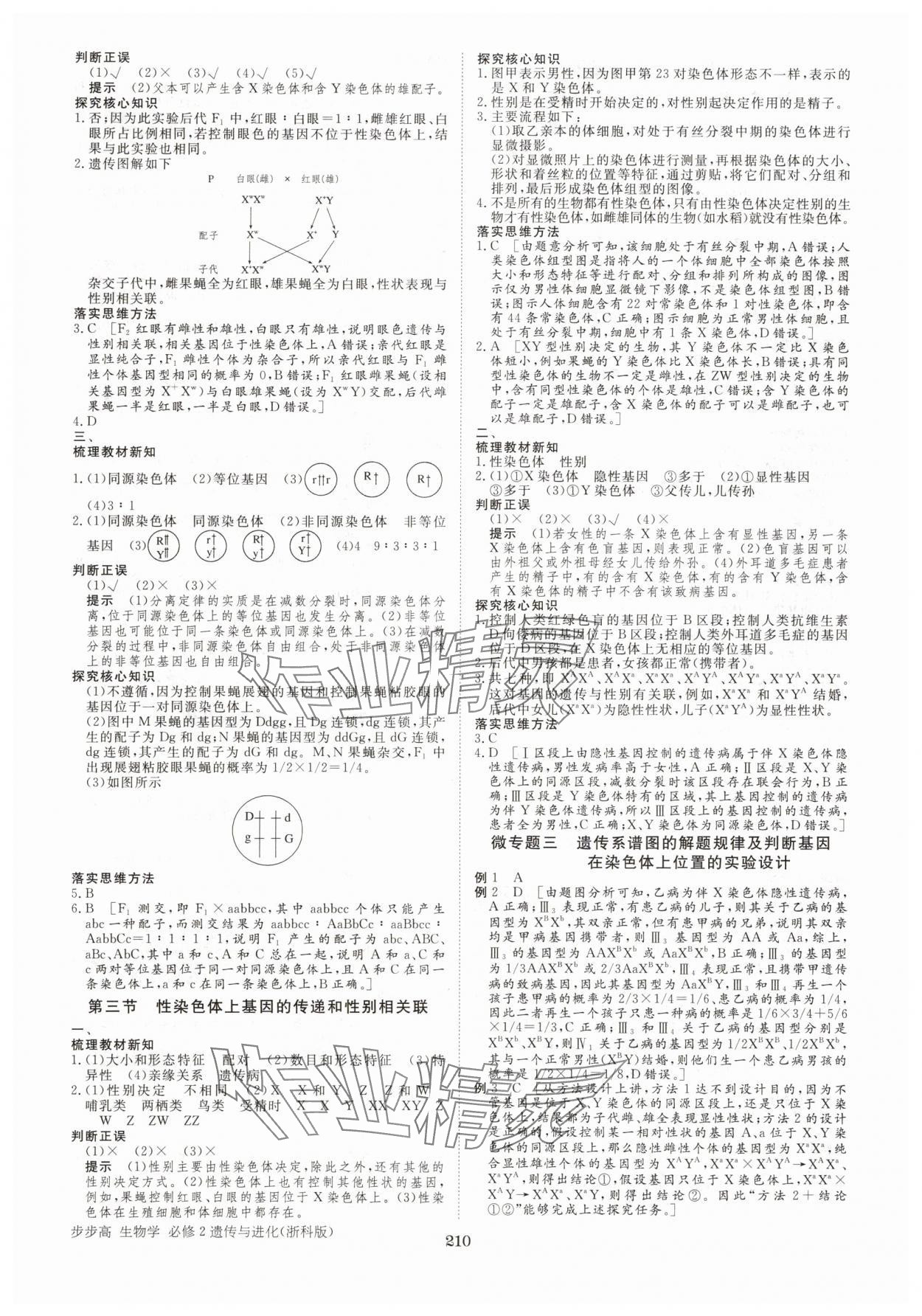 2025年步步高學習筆記高中生物必修2浙科版 參考答案第5頁