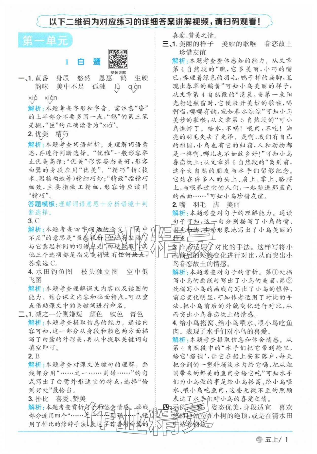 2025年阳光同学课时优化作业五年级语文上册人教版五四制 第1页