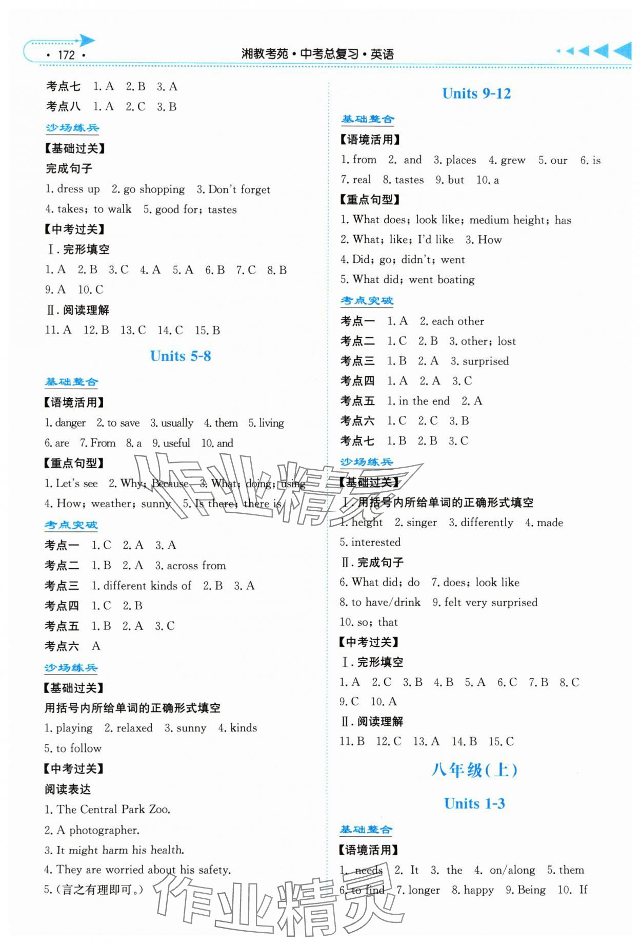 2024年湘教考苑中考總復(fù)習英語中考長沙專版 第2頁