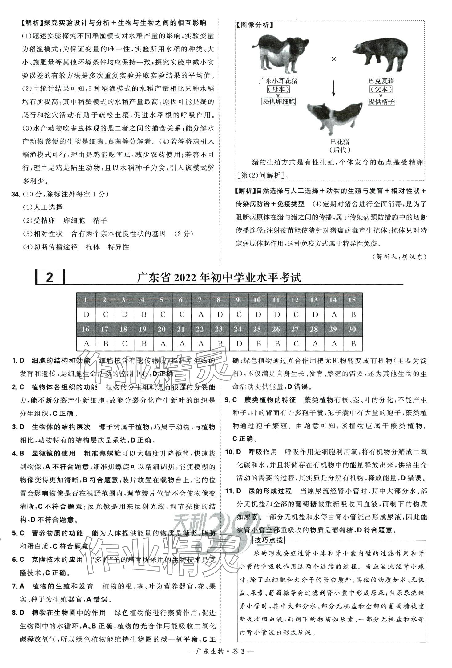 2024年天利38套中考试题精选生物中考广东专版 第3页