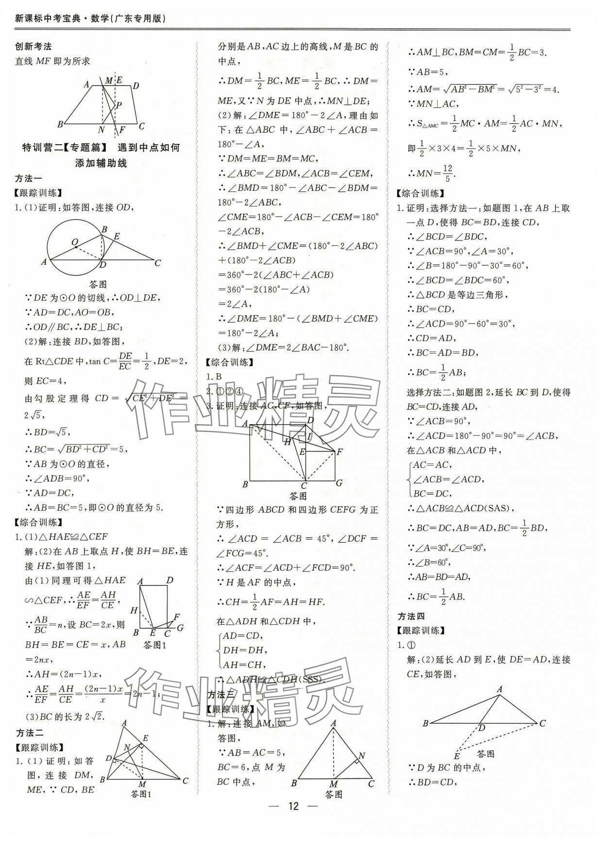 2024年新课标中考宝典数学广东专版 参考答案第12页