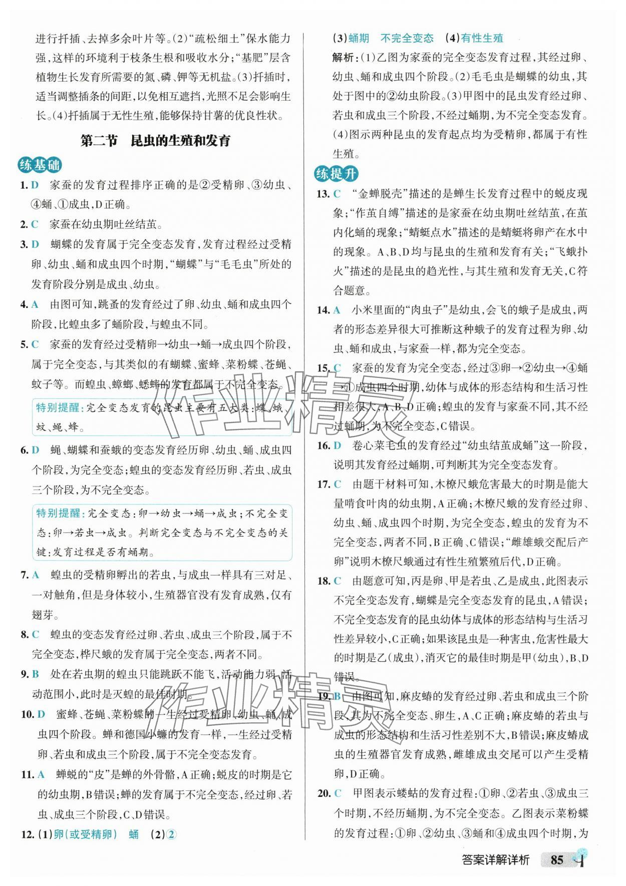 2025年初中學霸創新題八年級生物下冊人教版 參考答案第3頁