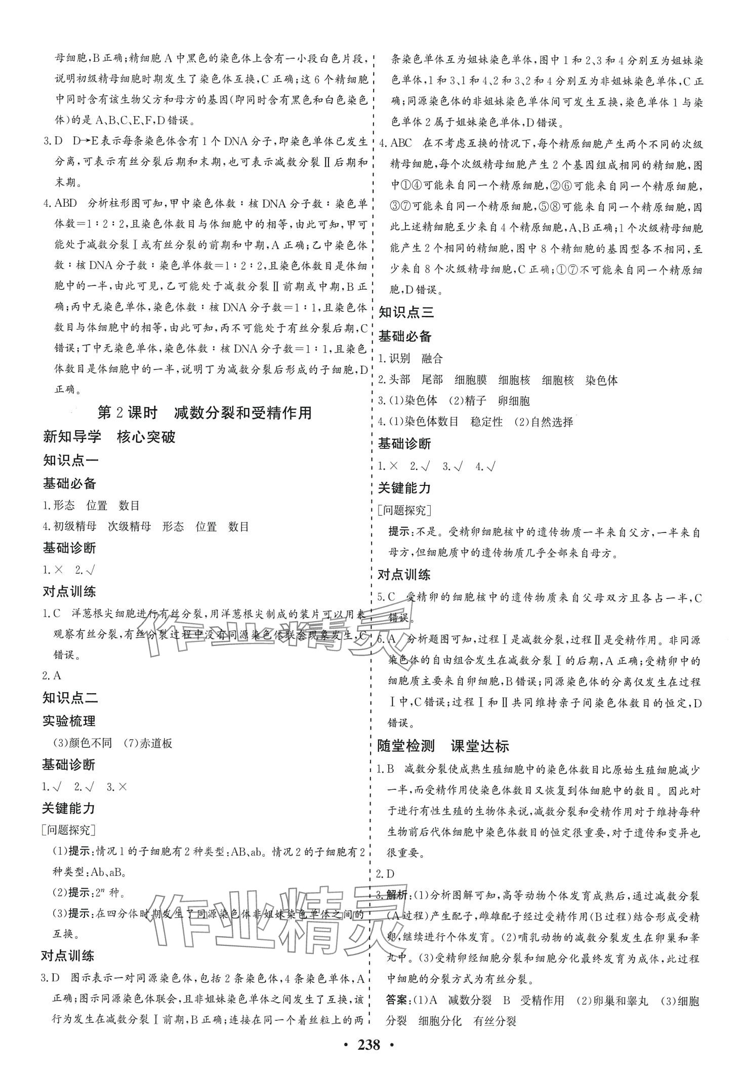 2024年創(chuàng)新思維同步導學案高中生物必修2人教版 第8頁