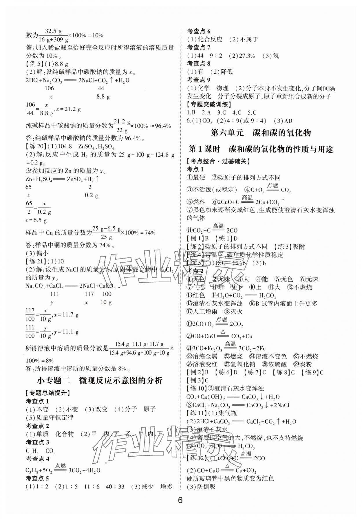 2025年中考狀元化學中考山東專版 參考答案第5頁