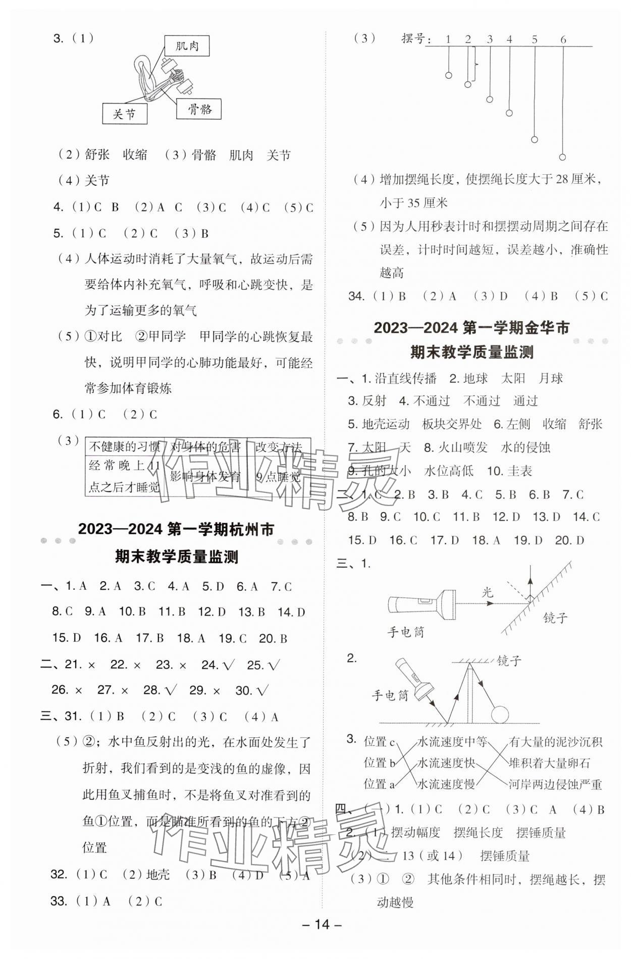 2024年綜合應(yīng)用創(chuàng)新題典中點(diǎn)五年級(jí)科學(xué)上冊(cè)教科版 參考答案第13頁