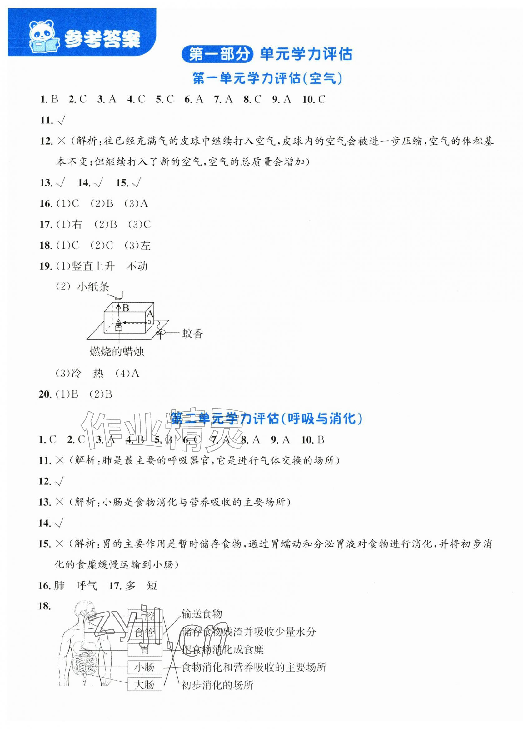 2026年奔跑吧全程领航卷四年级科学上册教科版&nbsp;第1页
