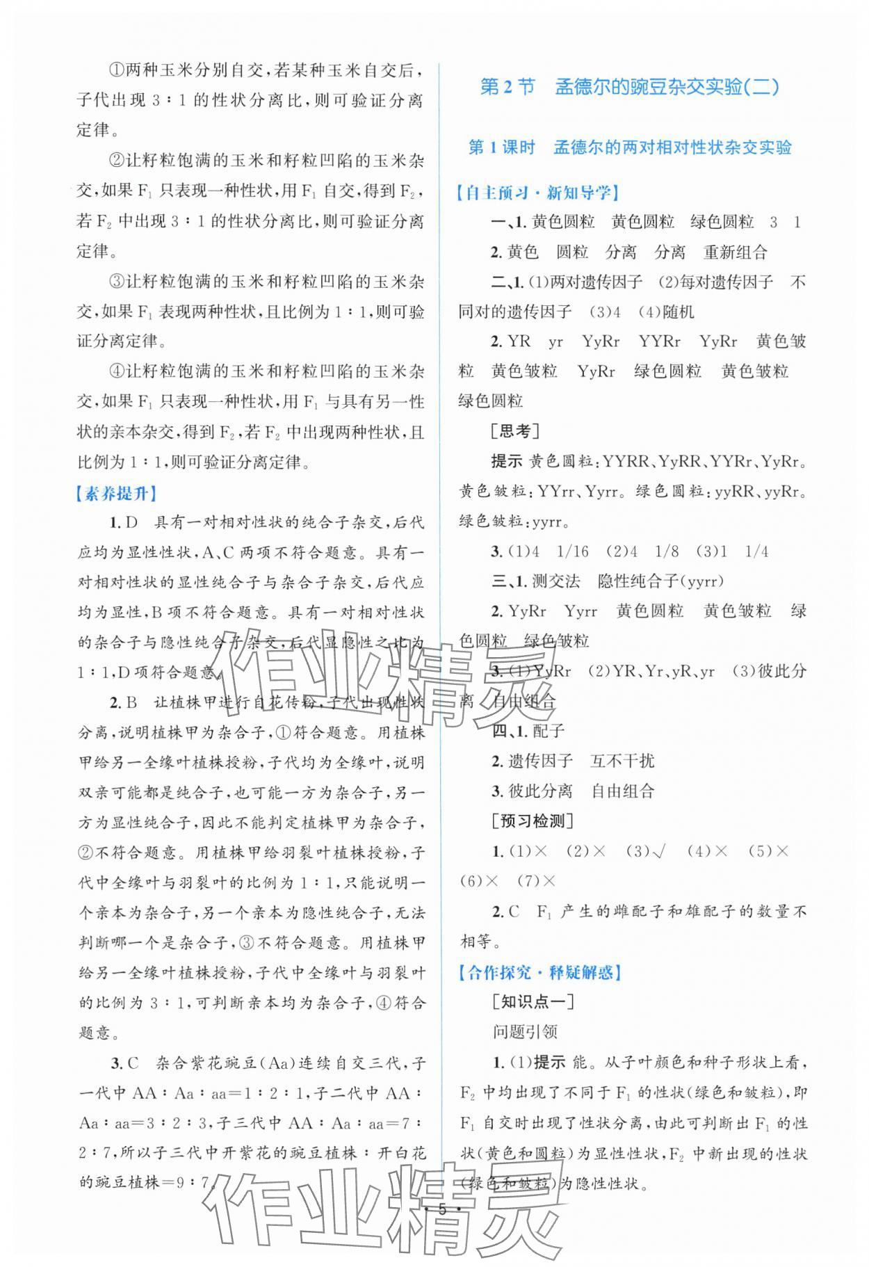 2025年高中同步測控優(yōu)化設計高中生物必修2人教版增強版 參考答案第4頁