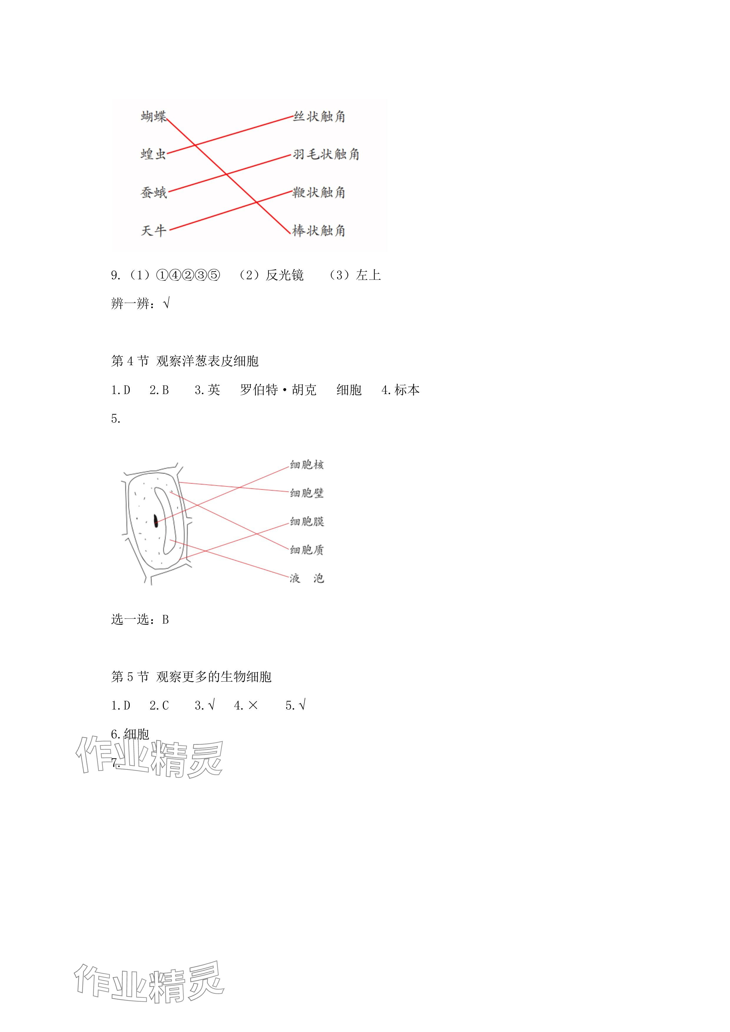 2024年科學素養提升六年級科學上冊教科版 參考答案第2頁