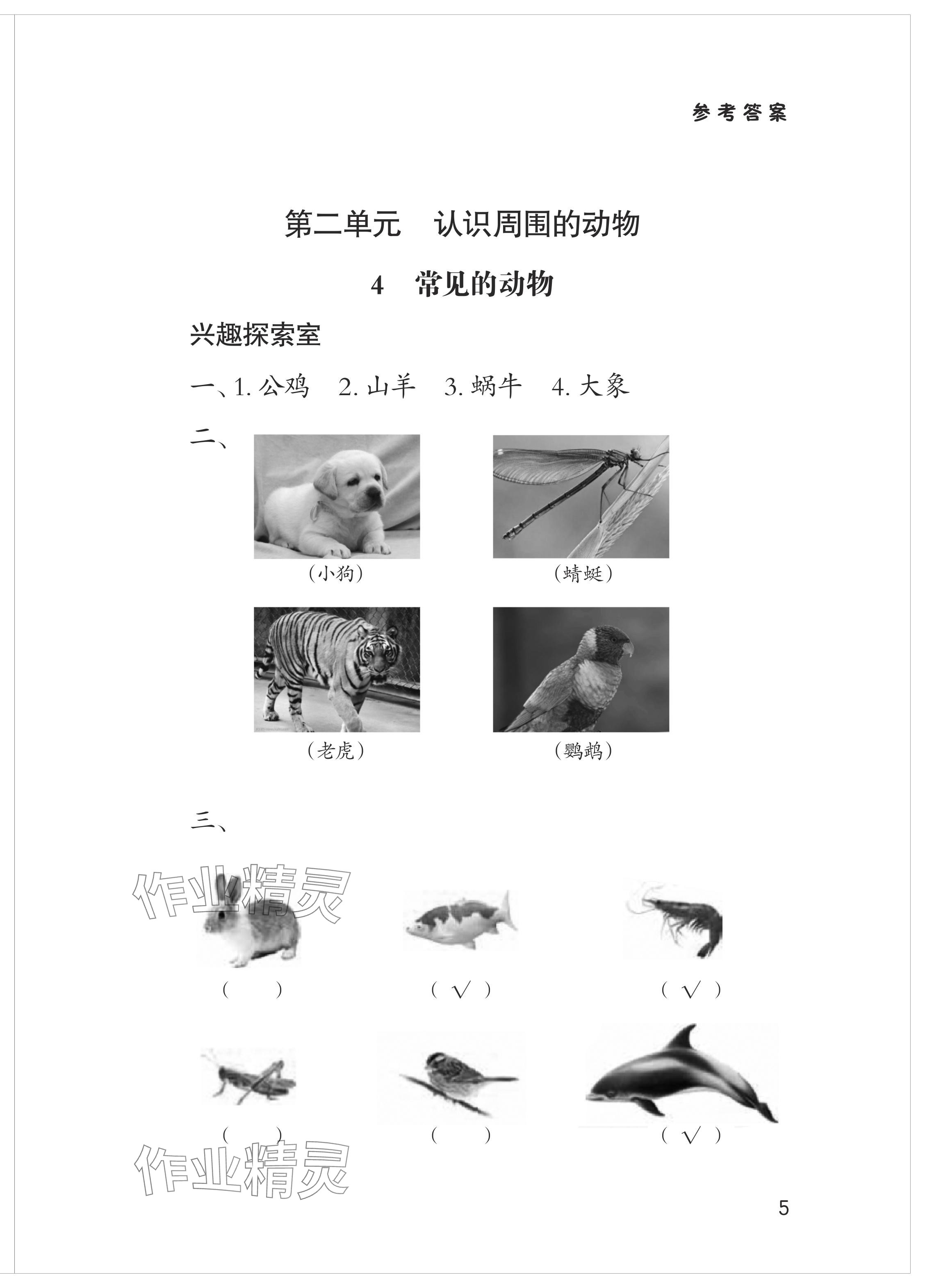 2024年新課堂學習與探究一年級科學下冊青島版 參考答案第5頁