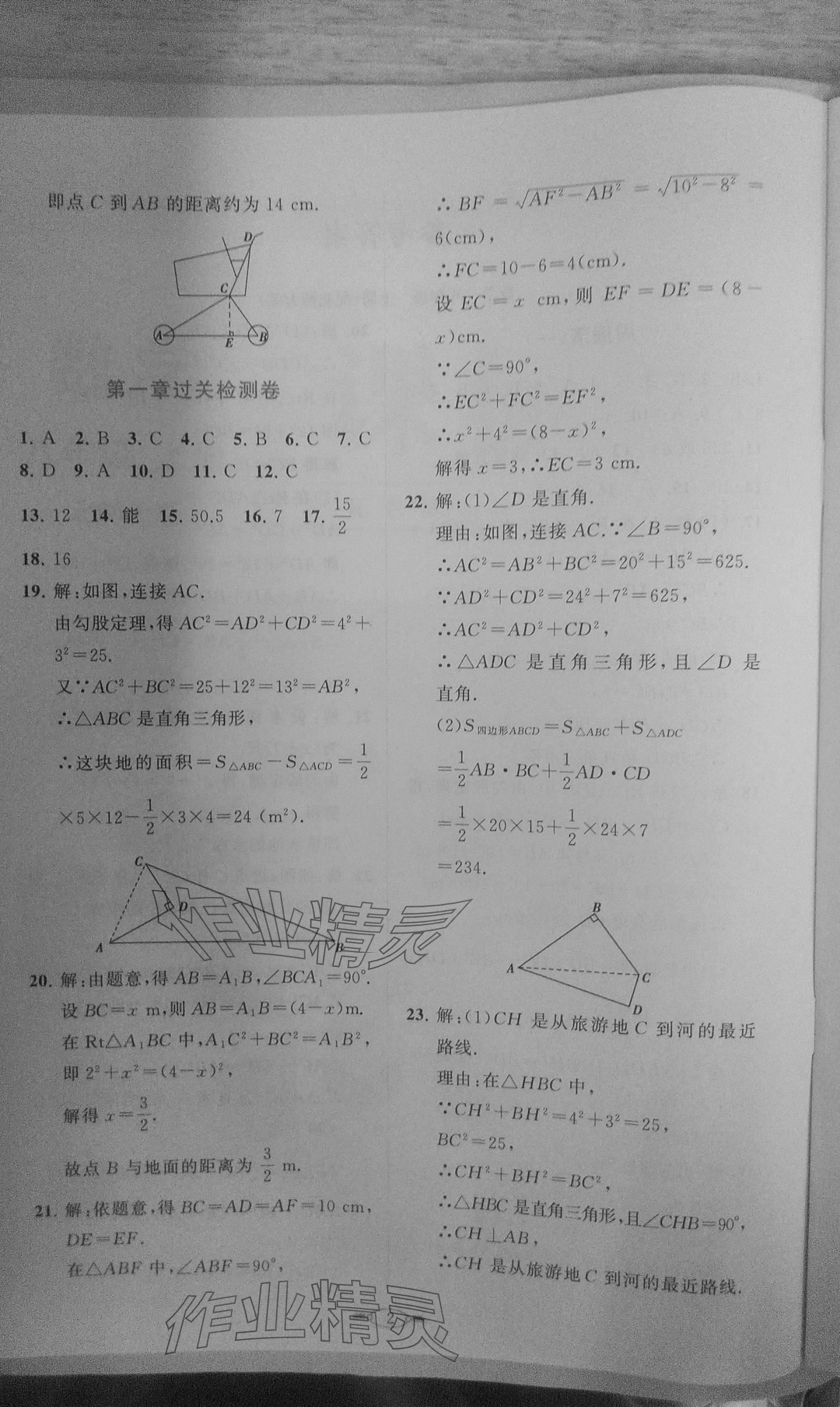 2023年课标新卷八年级数学上册北师大版 参考答案第2页