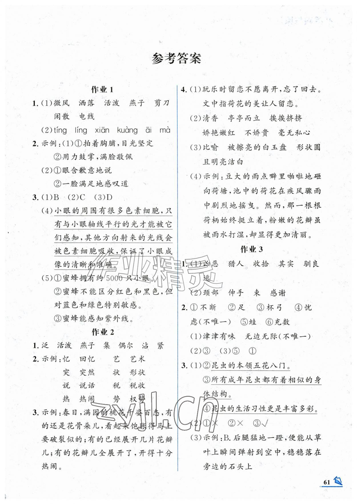 2026年智趣夏令营三年级基础与阅读通用版&nbsp;第1页
