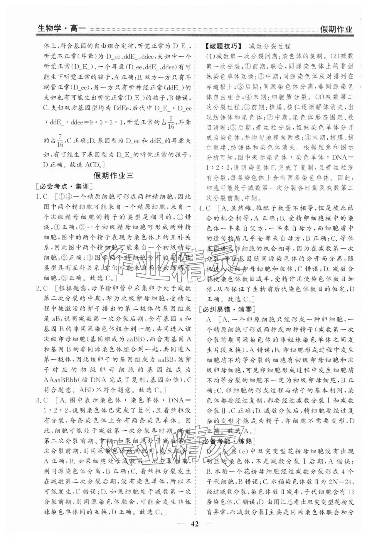 2025年衡水名师新作假期作业高一生物 第4页