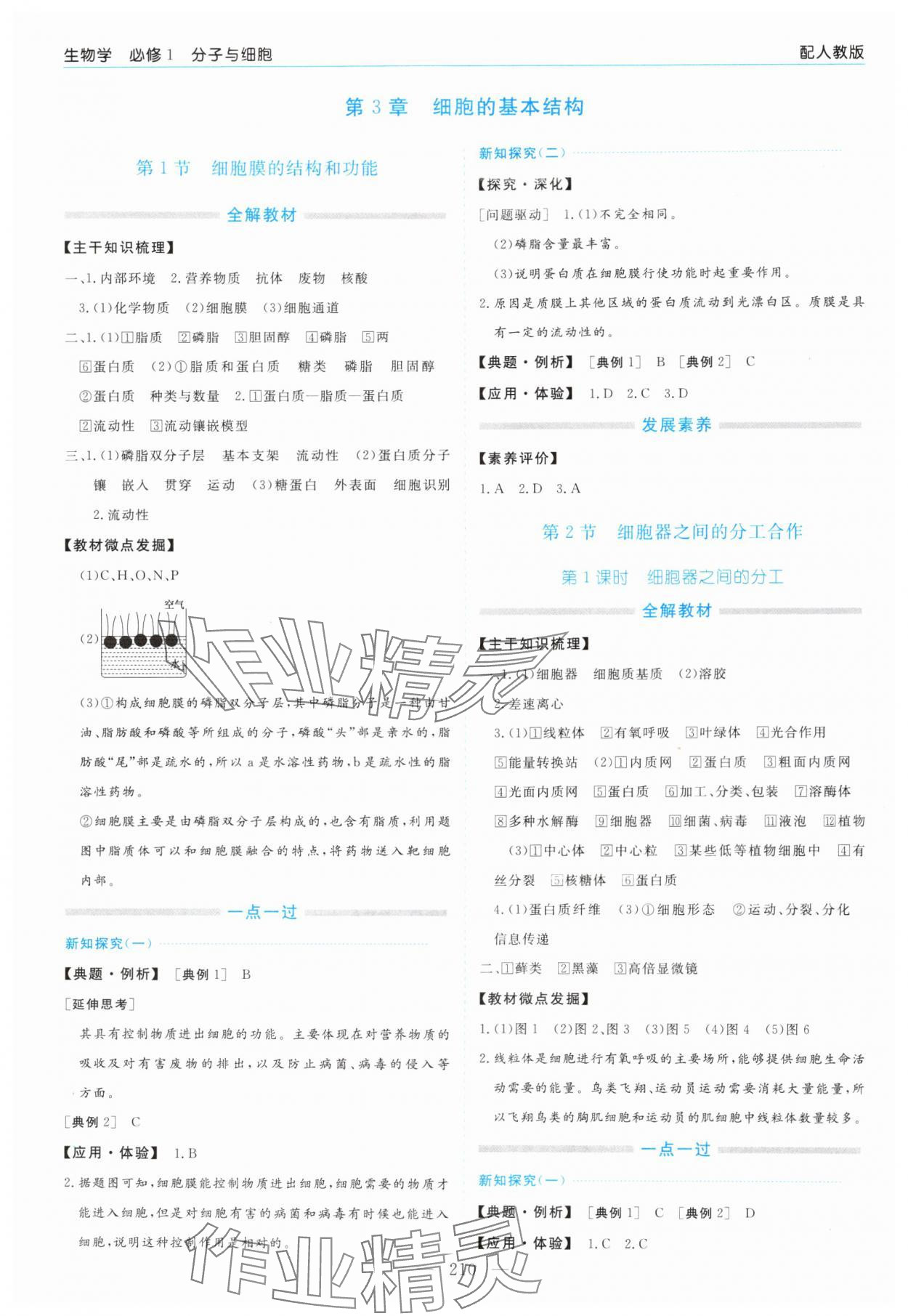 2024年新課程學(xué)習(xí)指導(dǎo)高中生物必修1人教版 第6頁