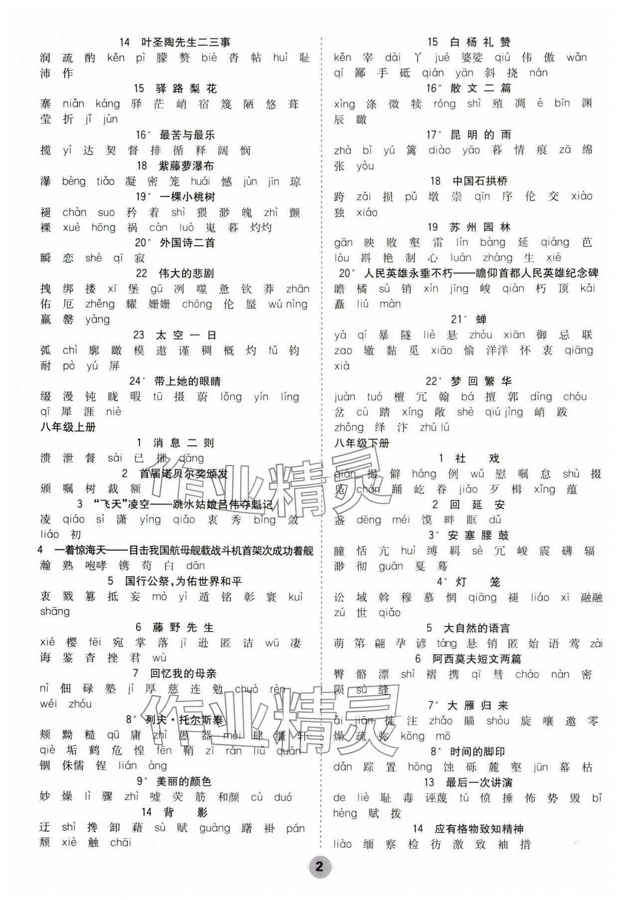 2025年中考大数据语文中考河北专版 参考答案第2页