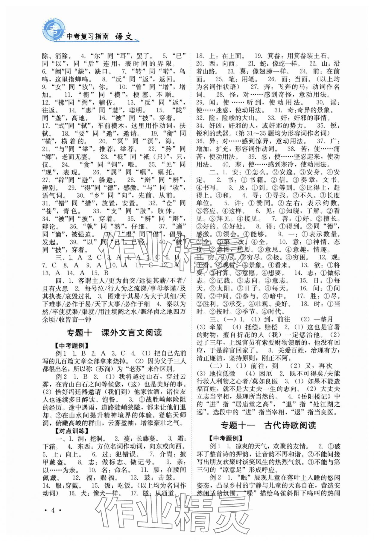 2025年中考復習指南語文四川教育出版社 第4頁