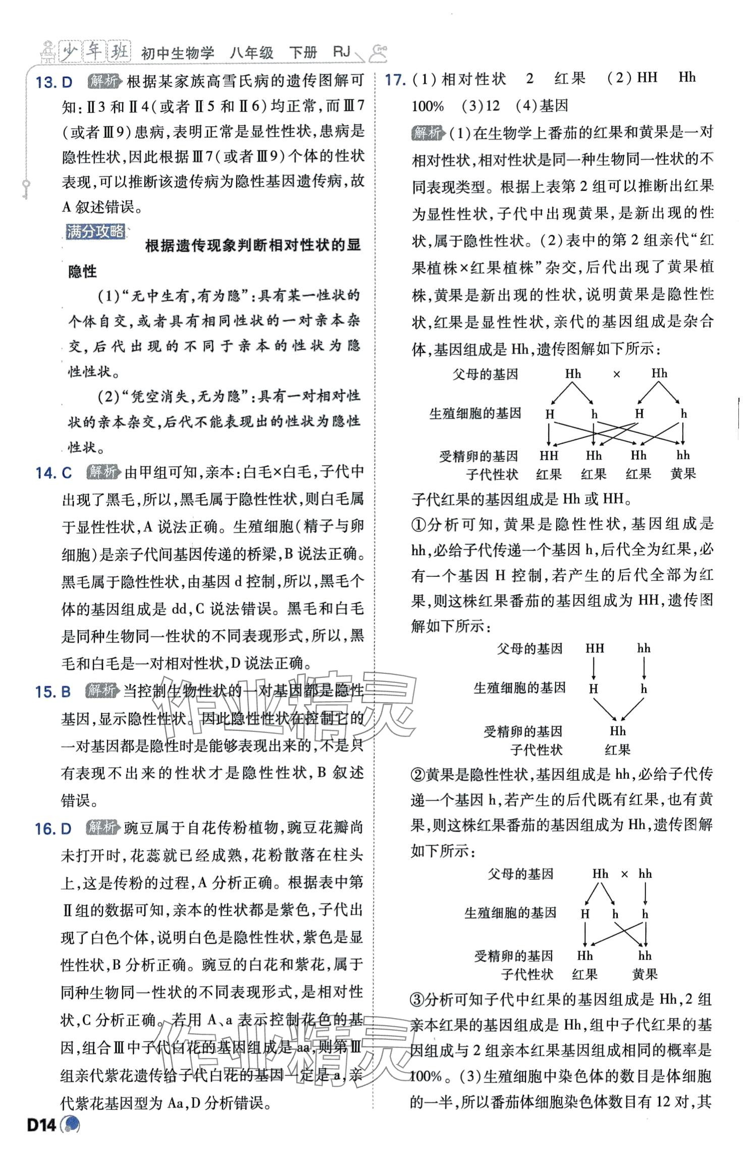 2024年少年班八年級(jí)生物下冊(cè)人教版 第14頁