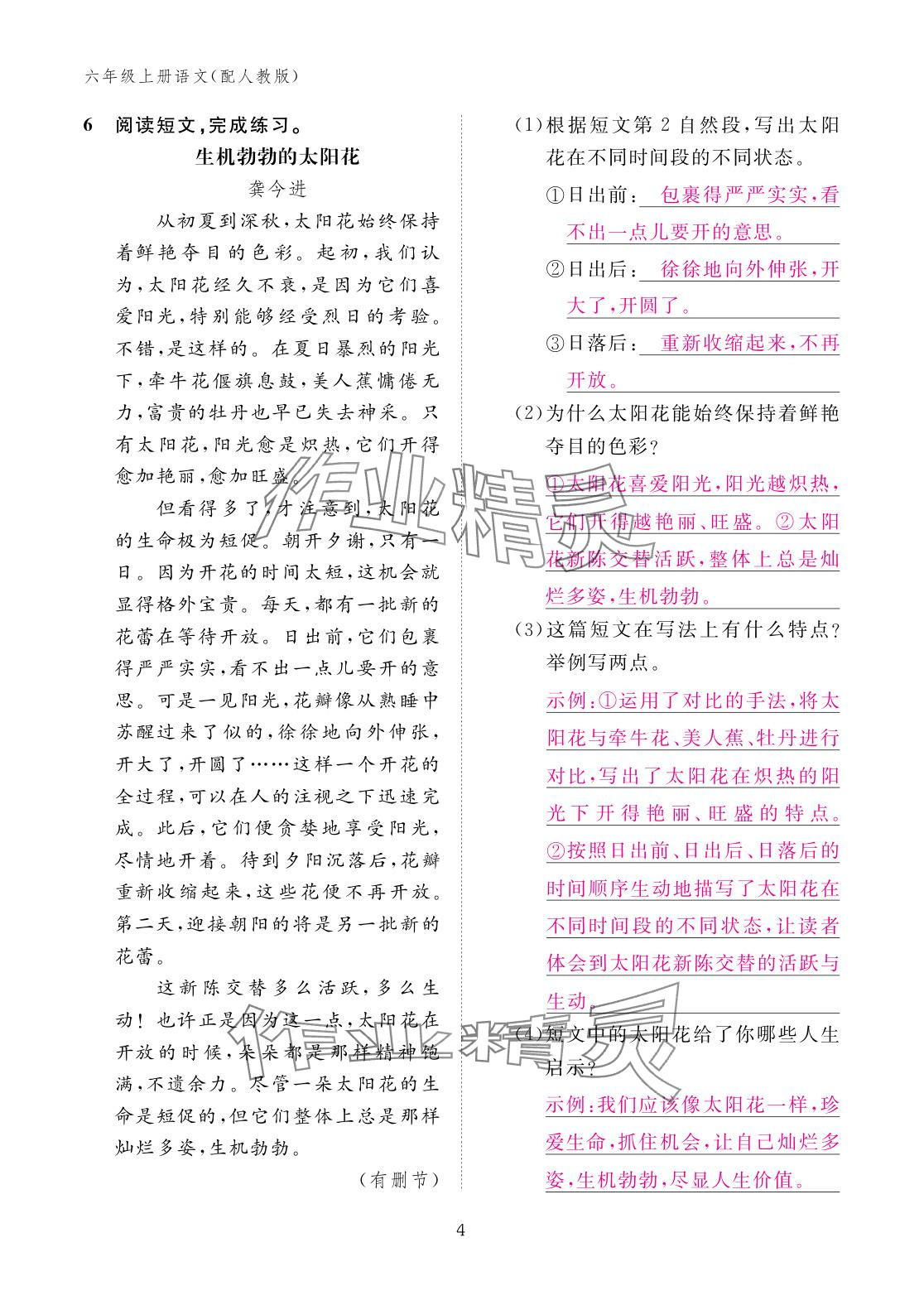 2025年作业本江西教育出版社六年级语文上册人教版 参考答案第4页