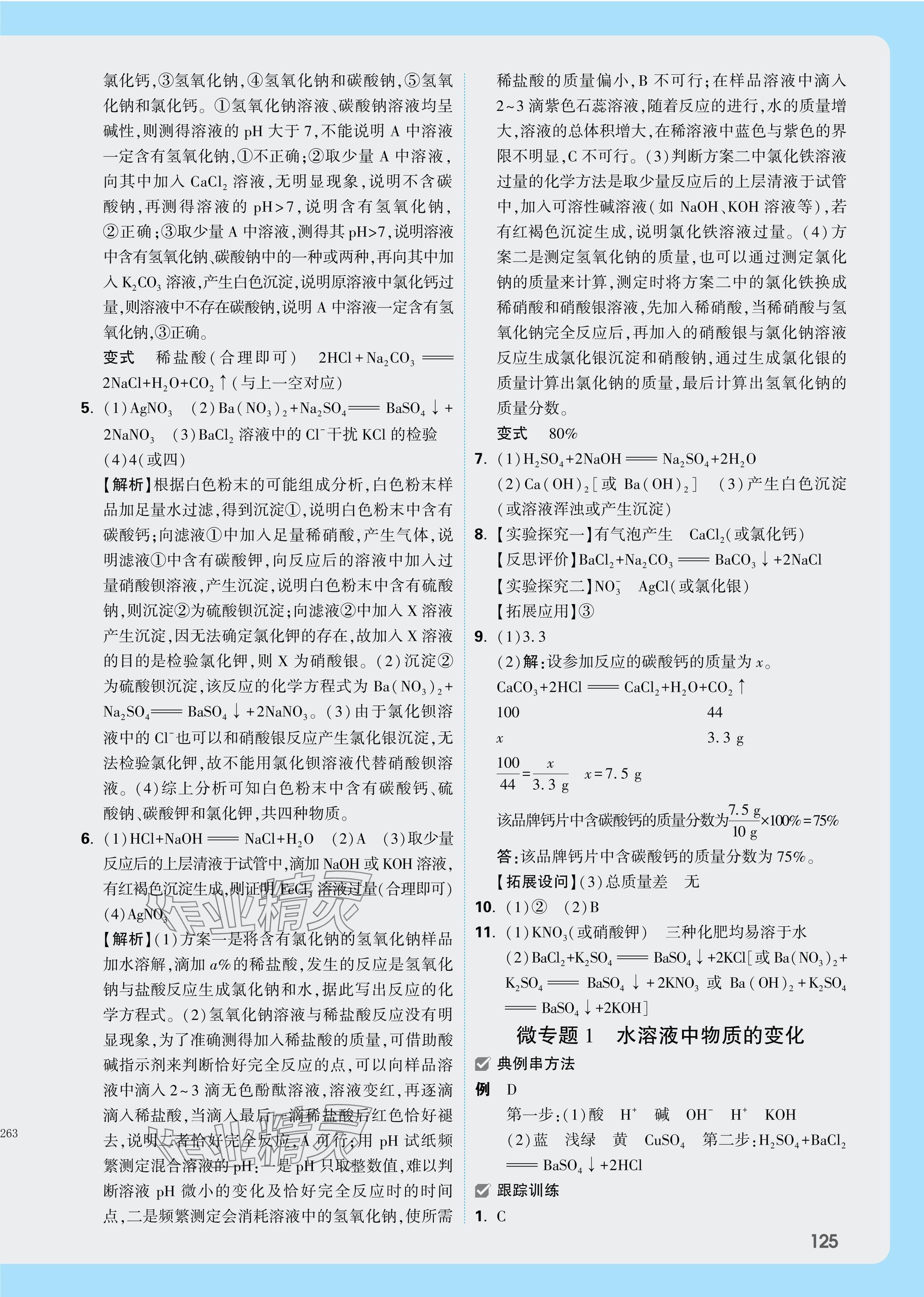 2025年萬唯中考試題研究化學(xué)陜西專版 參考答案第5頁