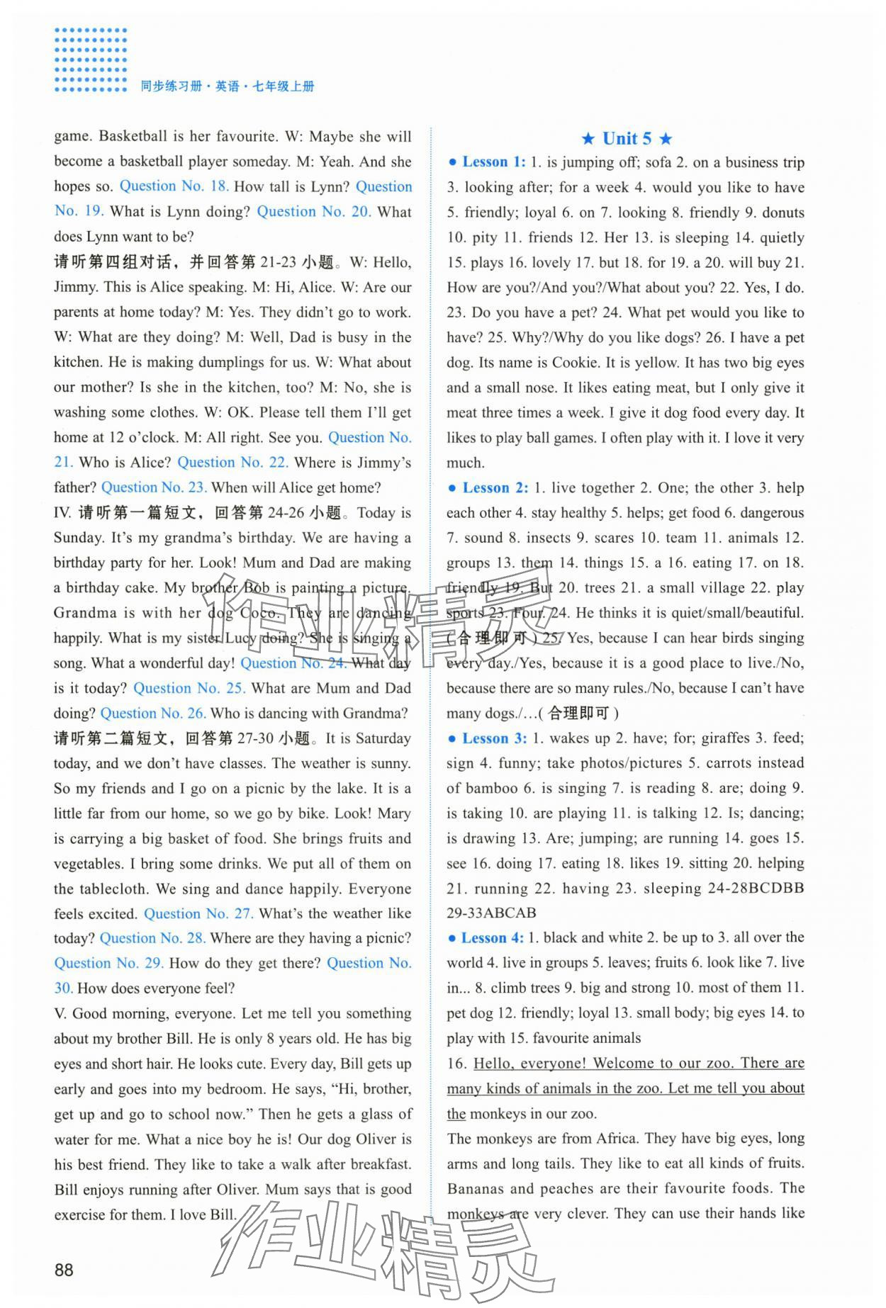 2025年同步練習冊河北教育出版社七年級英語上冊冀教版 參考答案第7頁