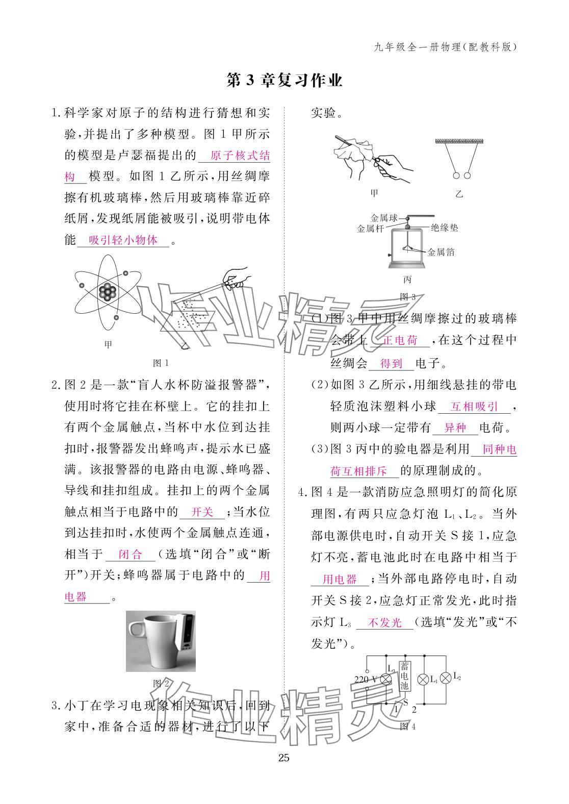 2025年作业本江西教育出版社九年级物理全一册教科版 参考答案第25页