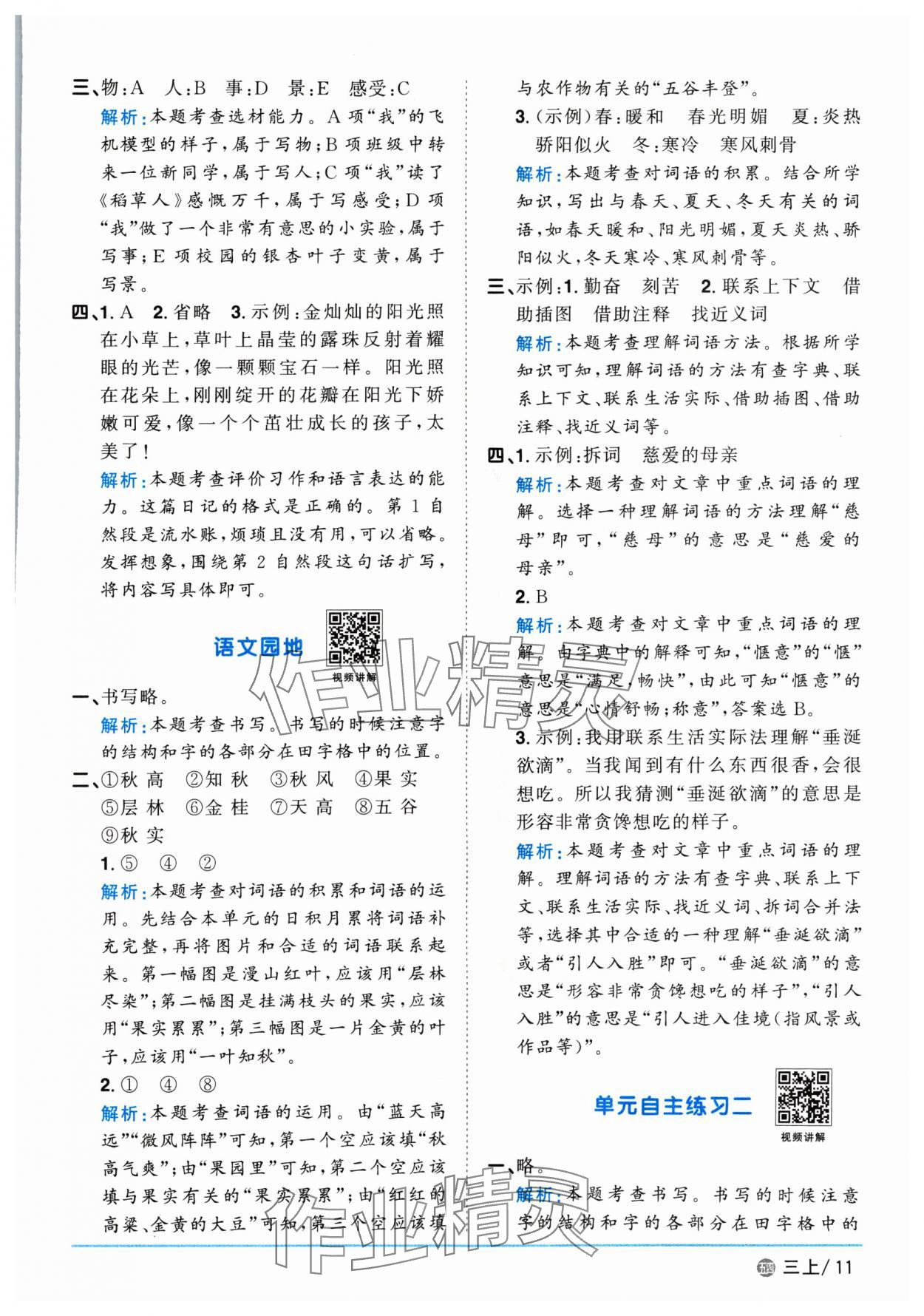 2024年阳光同学课时优化作业三年级语文上册人教版五四制 第11页