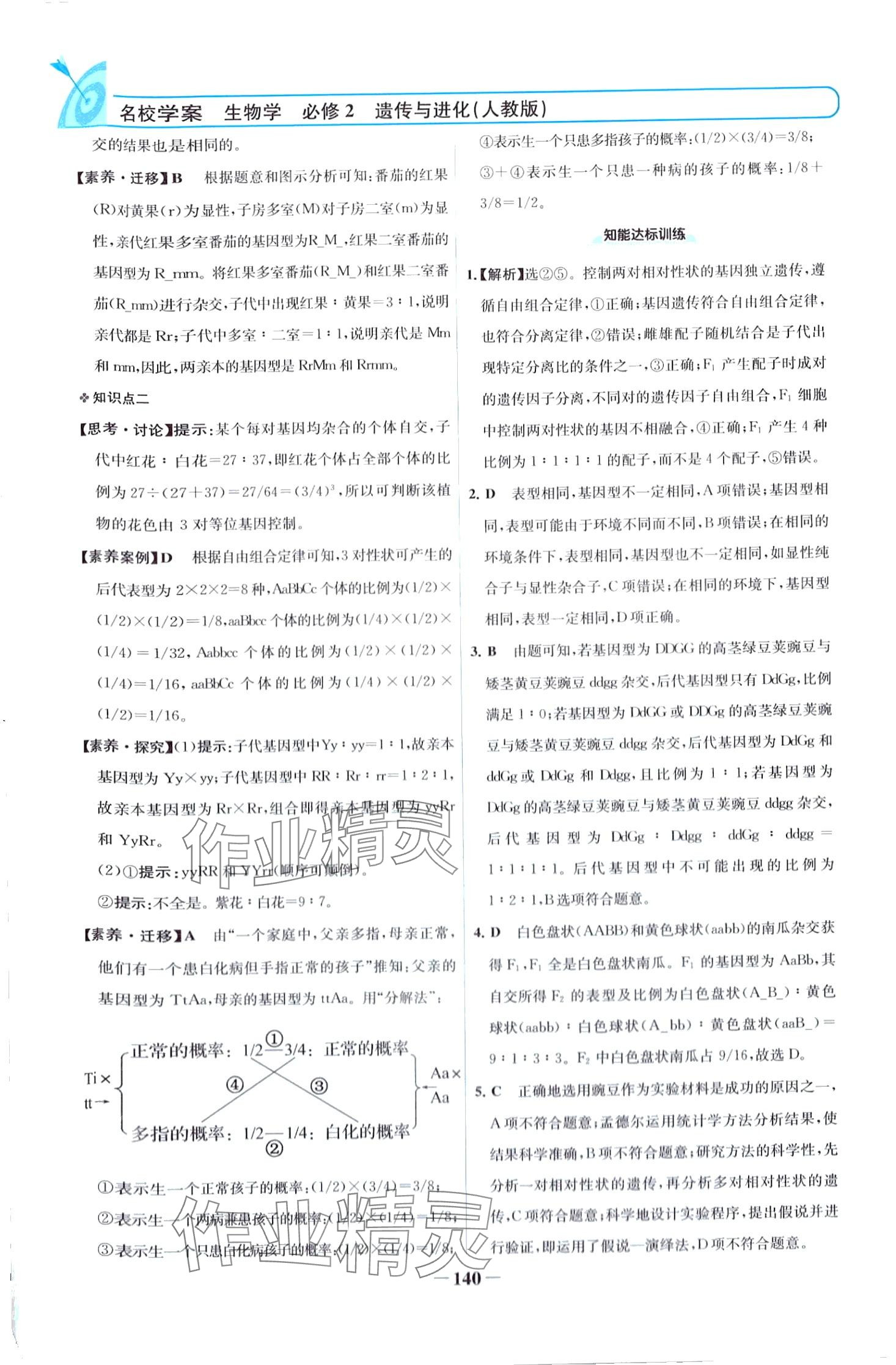 2024年名校學案高中生物（遺傳與進化）必修2人教版 第3頁