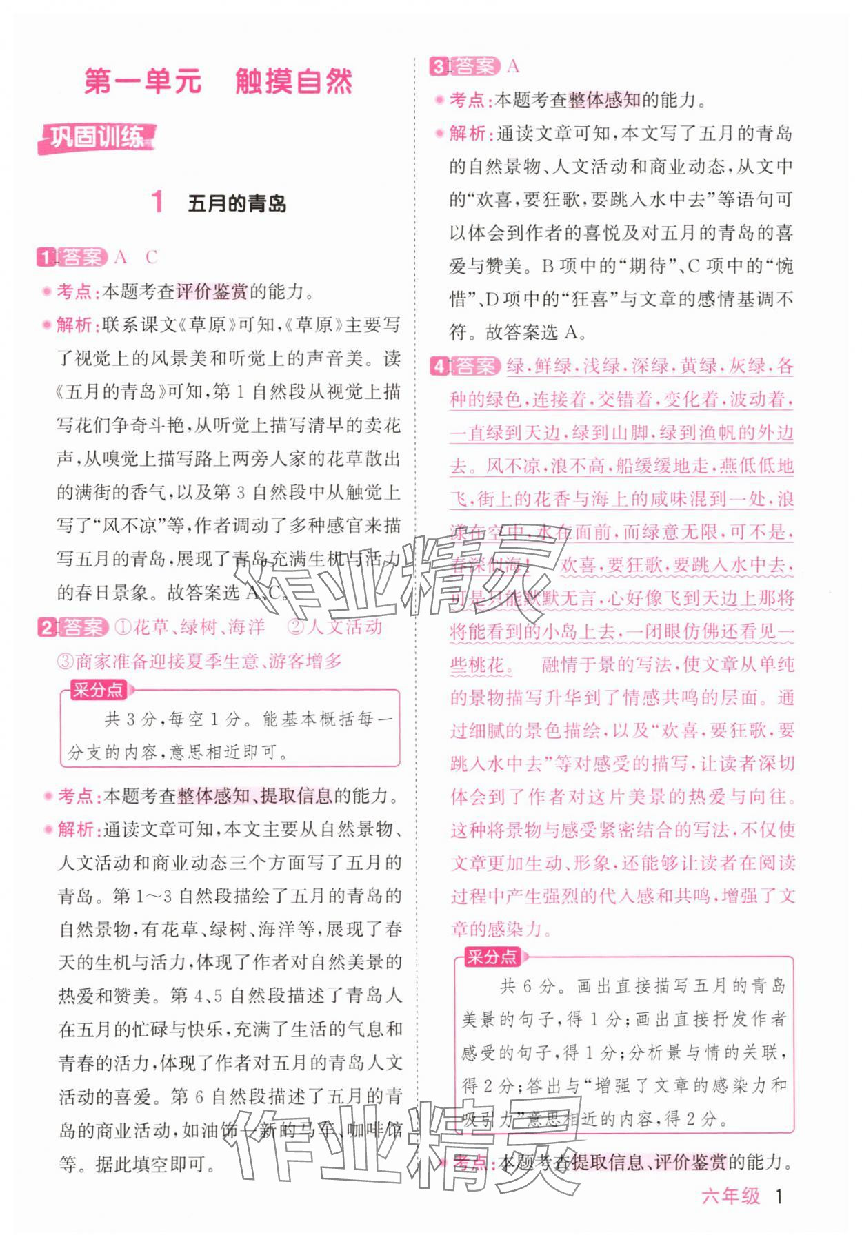 2025年陽光同學(xué)同步閱讀素養(yǎng)測試六年級語文上冊人教版 第1頁