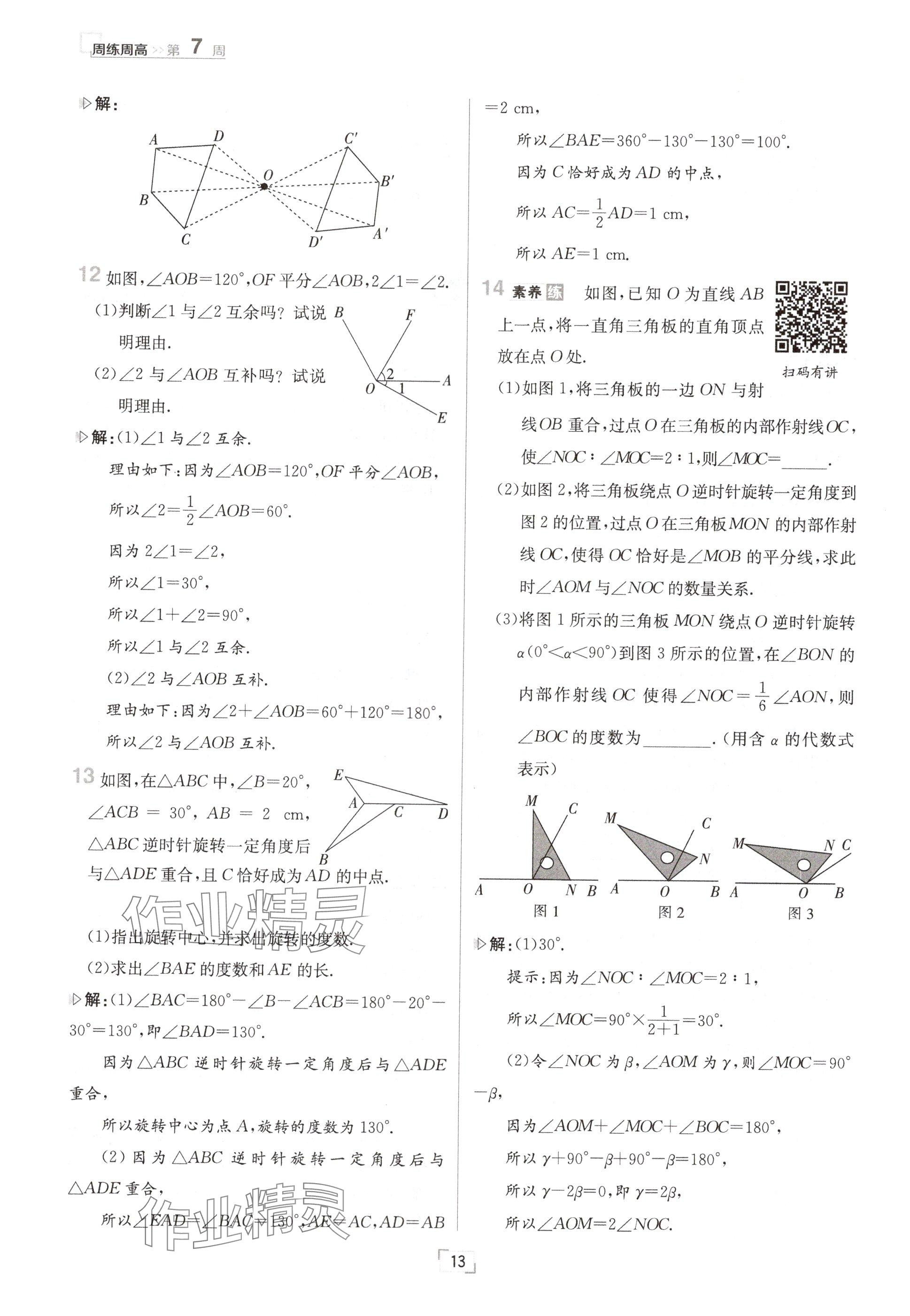 2024年日清周练七年级数学上册冀教版 参考答案第13页