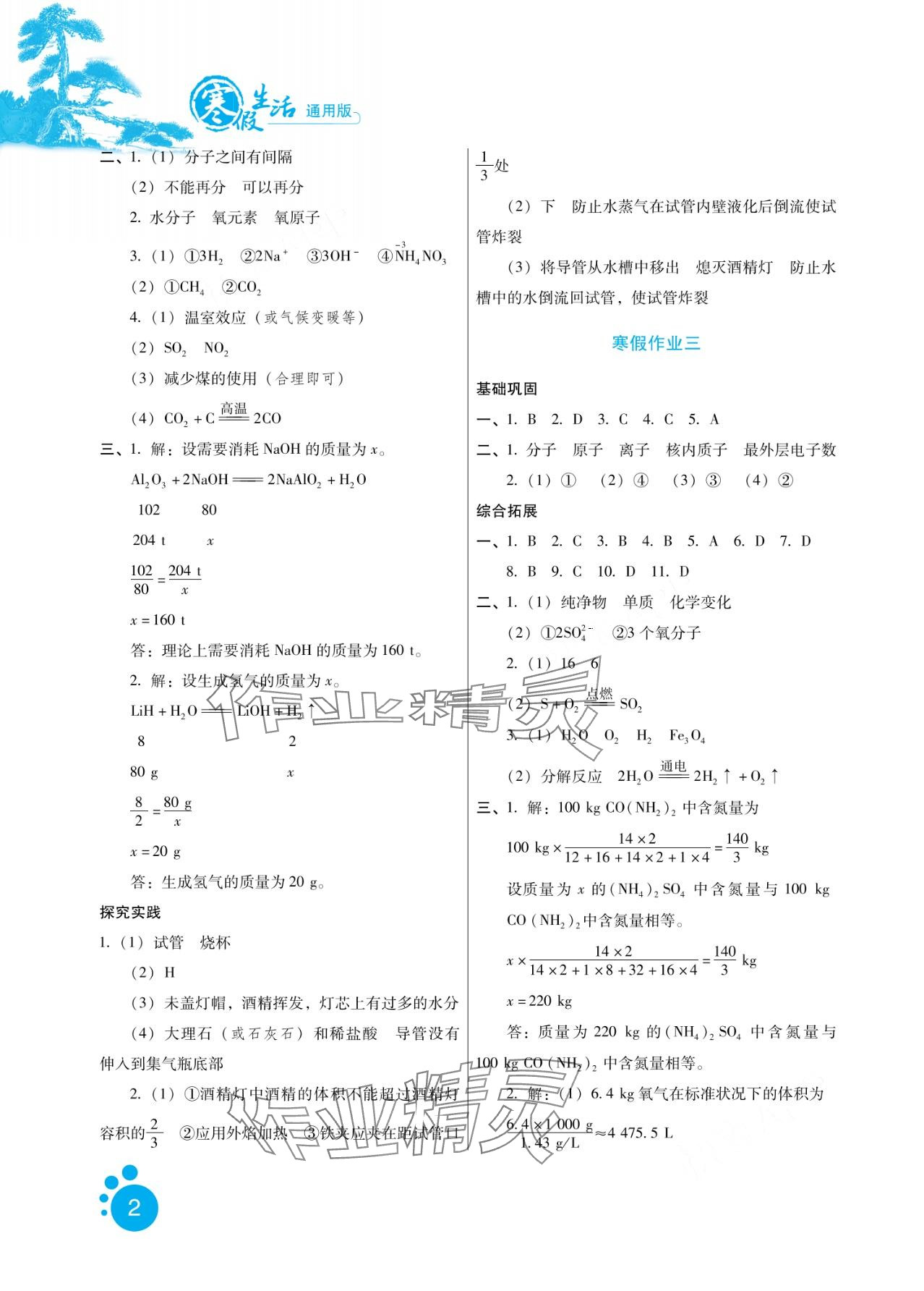 2024年寒假生活河北少年儿童出版社九年级化学 第2页