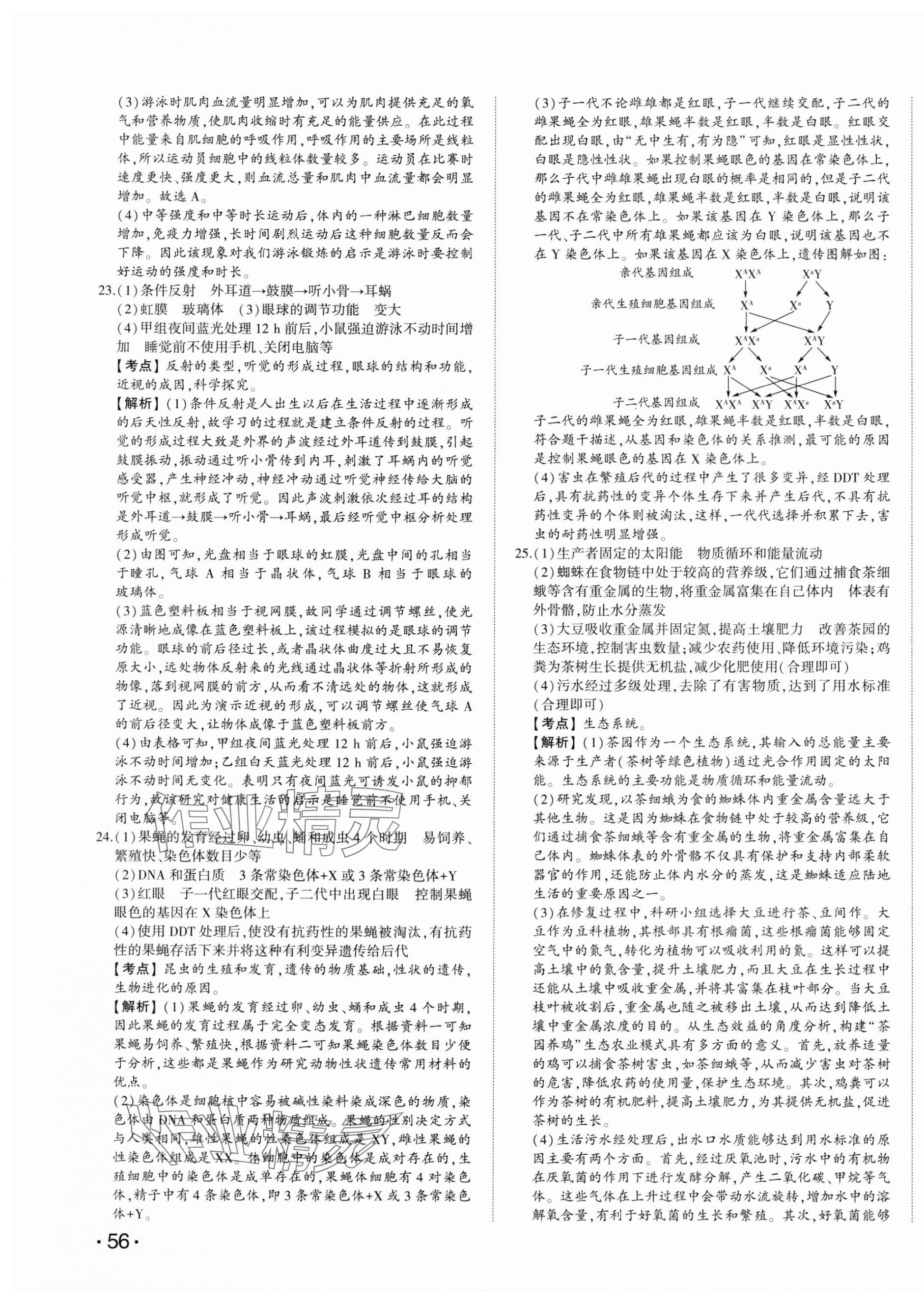 2025年星躍龍門中考真題匯編卷生物山東專版 第7頁