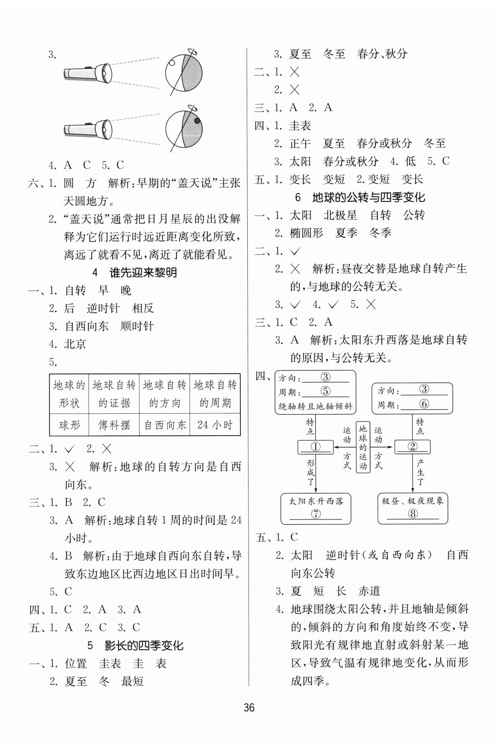 2025年课时训练江苏凤凰科学技术出版社六年级上册教科版 参考答案第4页
