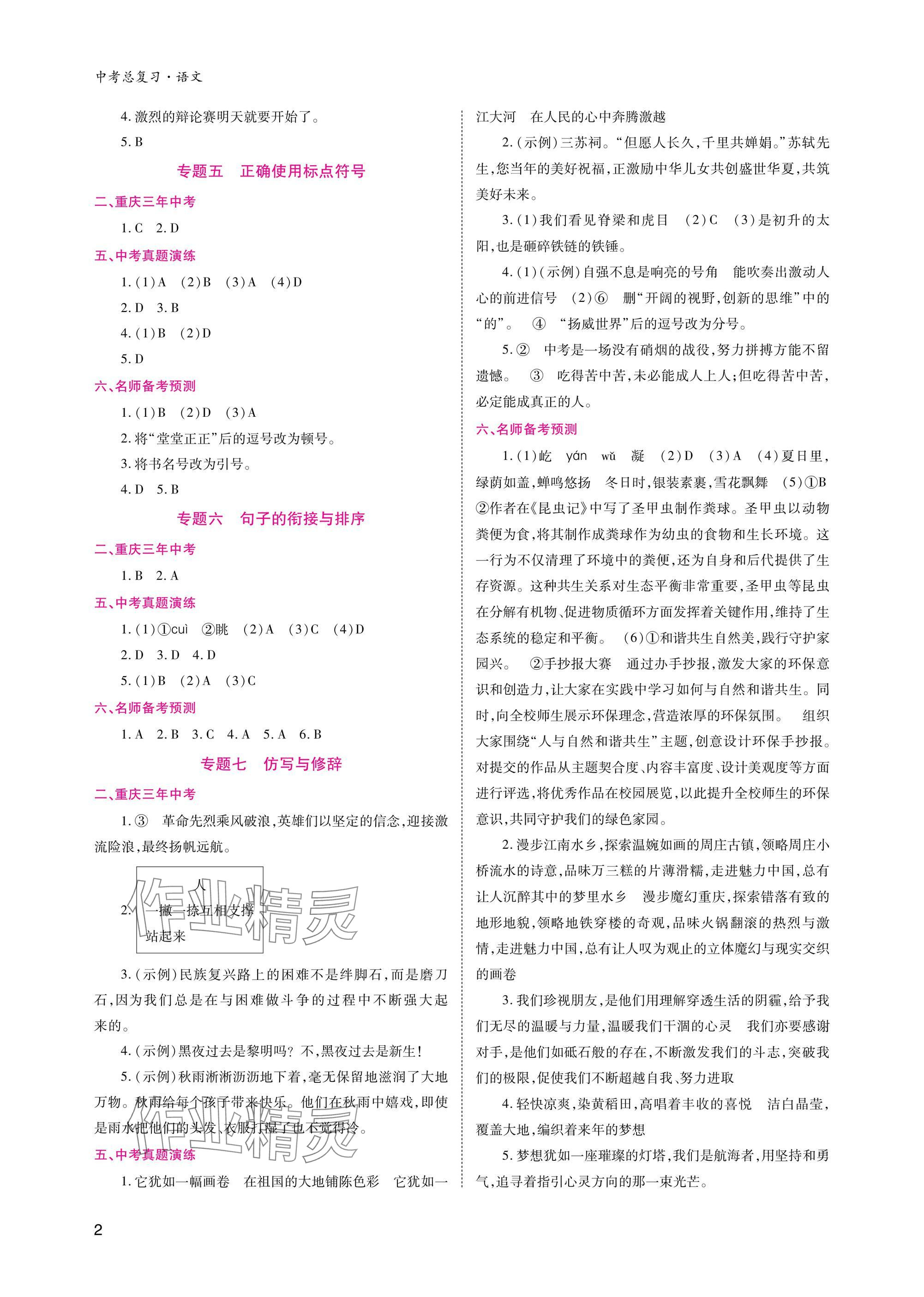 2025年中考总复习重庆出版社语文 参考答案第2页