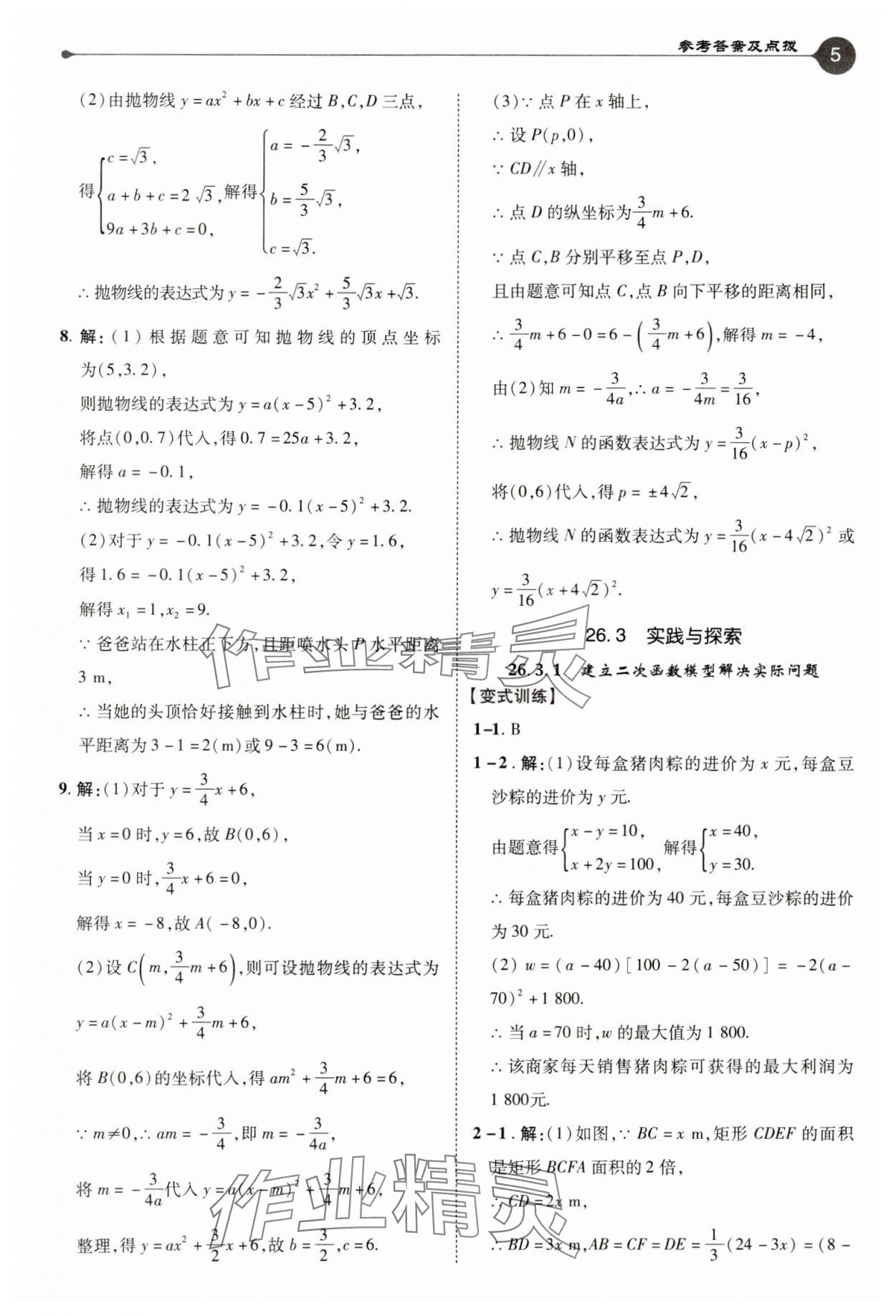 2025年特高級(jí)教師點(diǎn)撥九年級(jí)數(shù)學(xué)下冊(cè)華師大版 參考答案第5頁