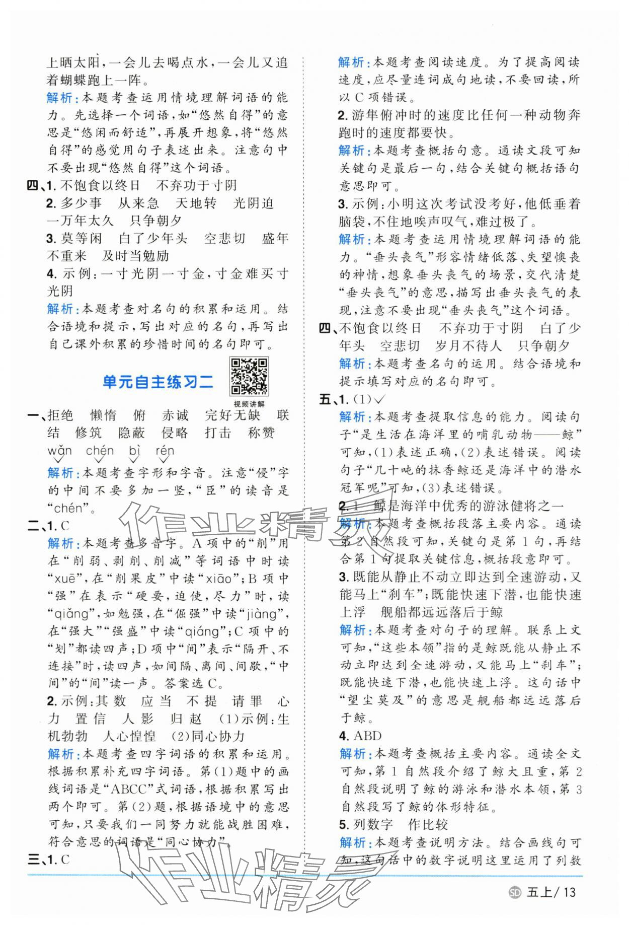 2024年陽光同學(xué)課時優(yōu)化作業(yè)五年級語文上冊人教版菏澤專版 參考答案第13頁