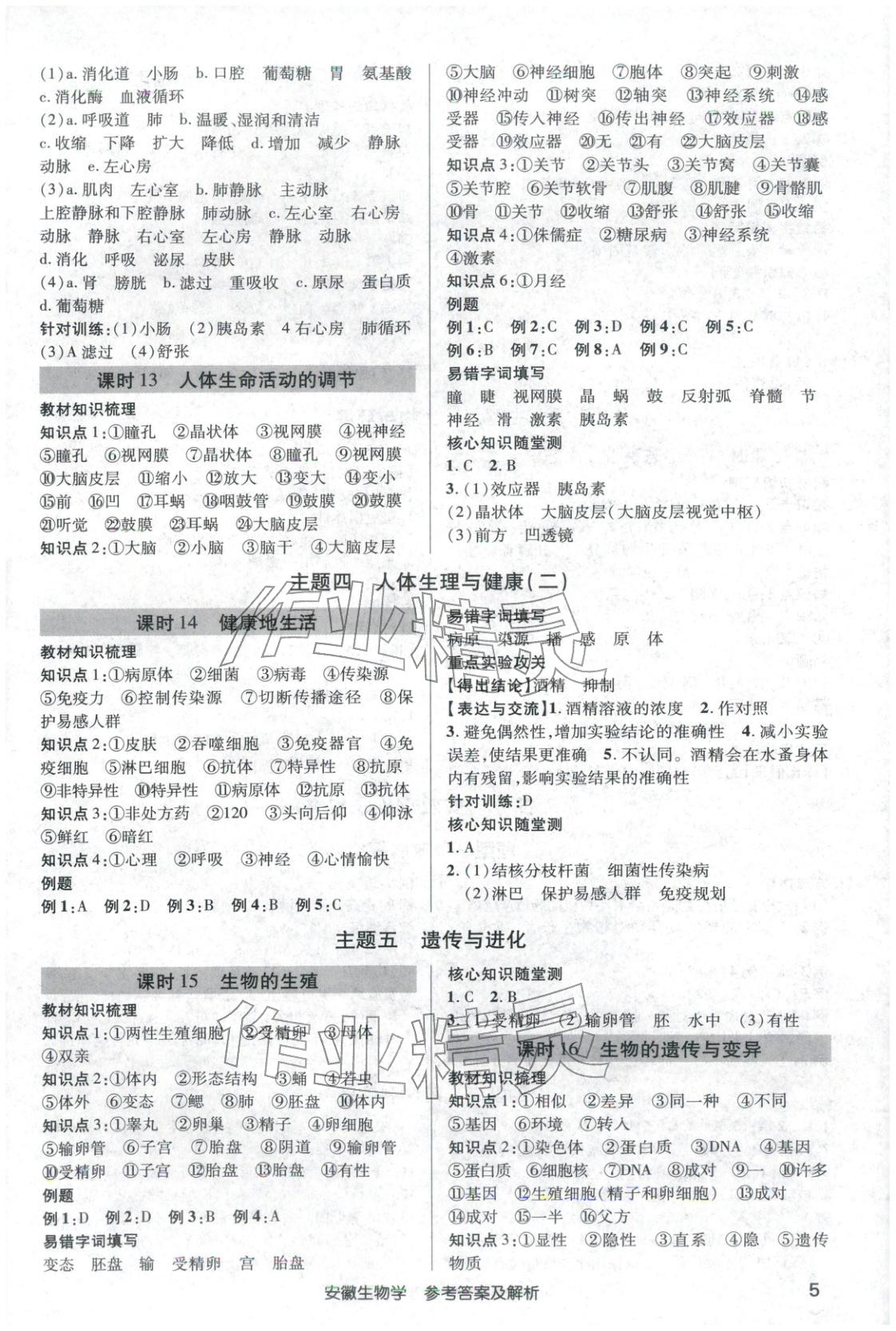 2026年安徽新中考生物 第4页