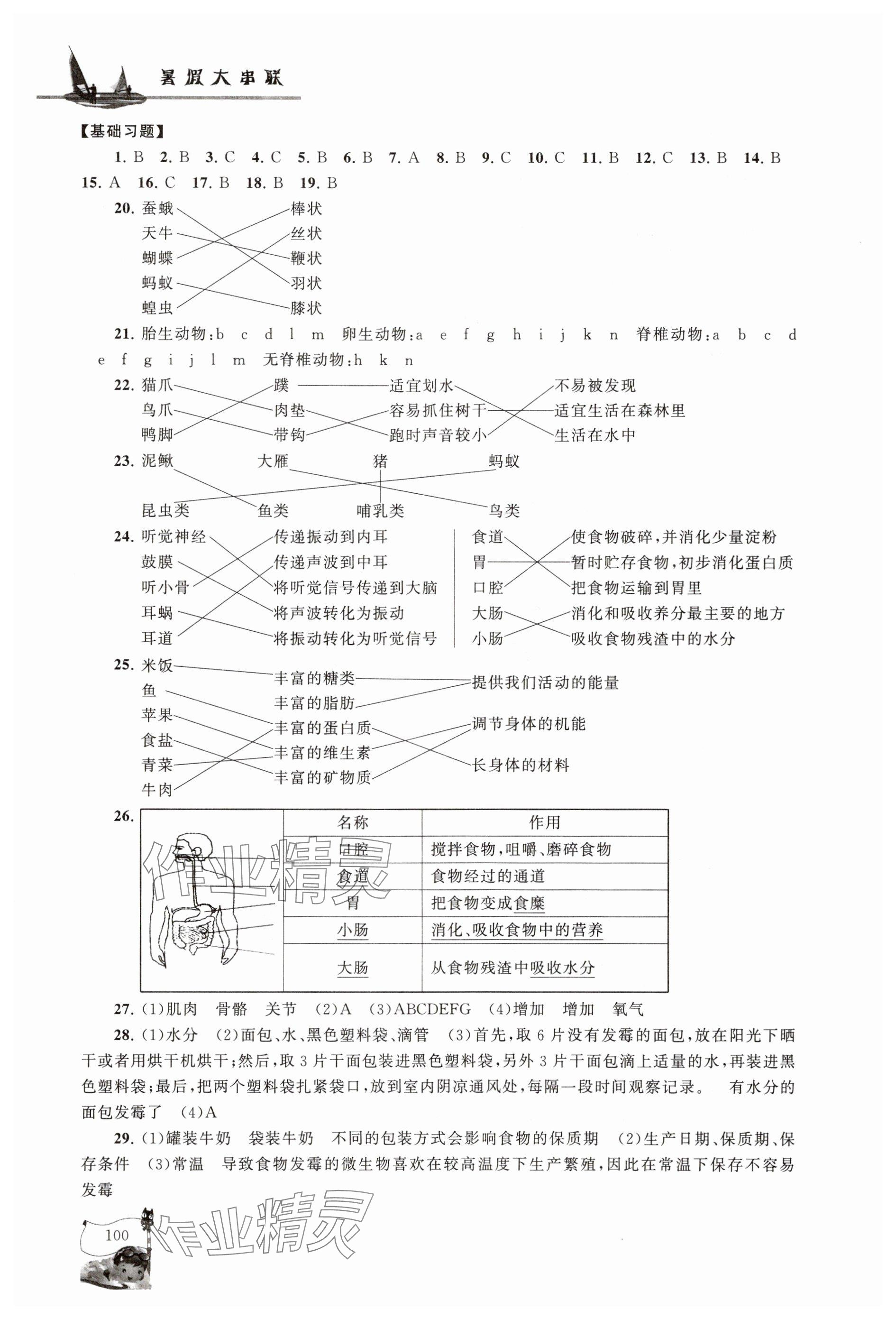2025年暑假大串聯(lián)六年級(jí)科學(xué)教科版 參考答案第3頁(yè)
