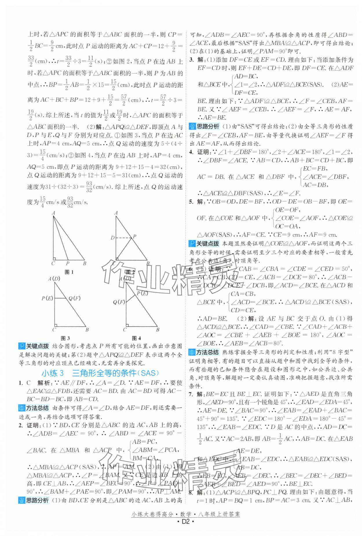 2024年小练大卷得高分八年级数学上册苏科版 第2页