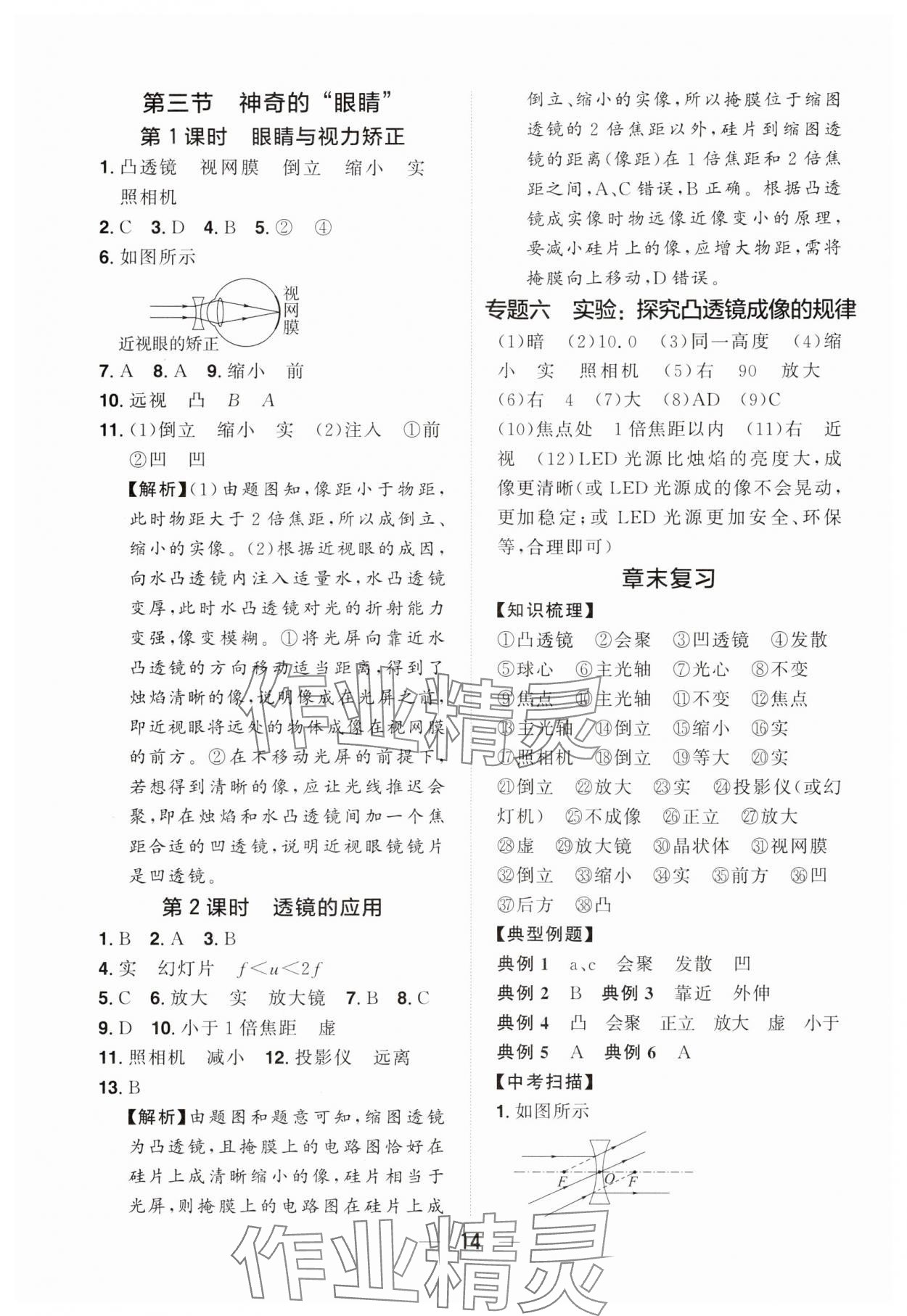 2024年陽(yáng)光同學(xué)分層設(shè)計(jì)八年級(jí)物理上冊(cè)滬科版福建專版 參考答案第13頁(yè)