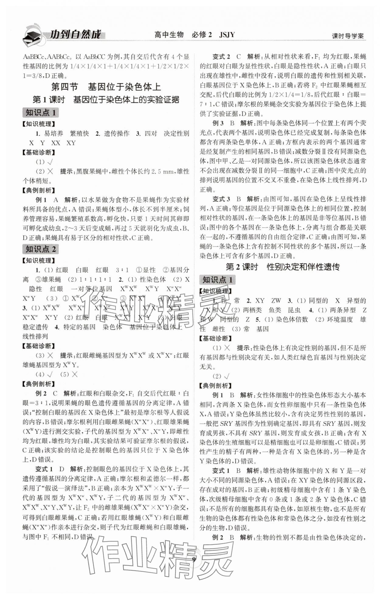 2025年功到自然成高中生物必修2蘇教版 參考答案第9頁