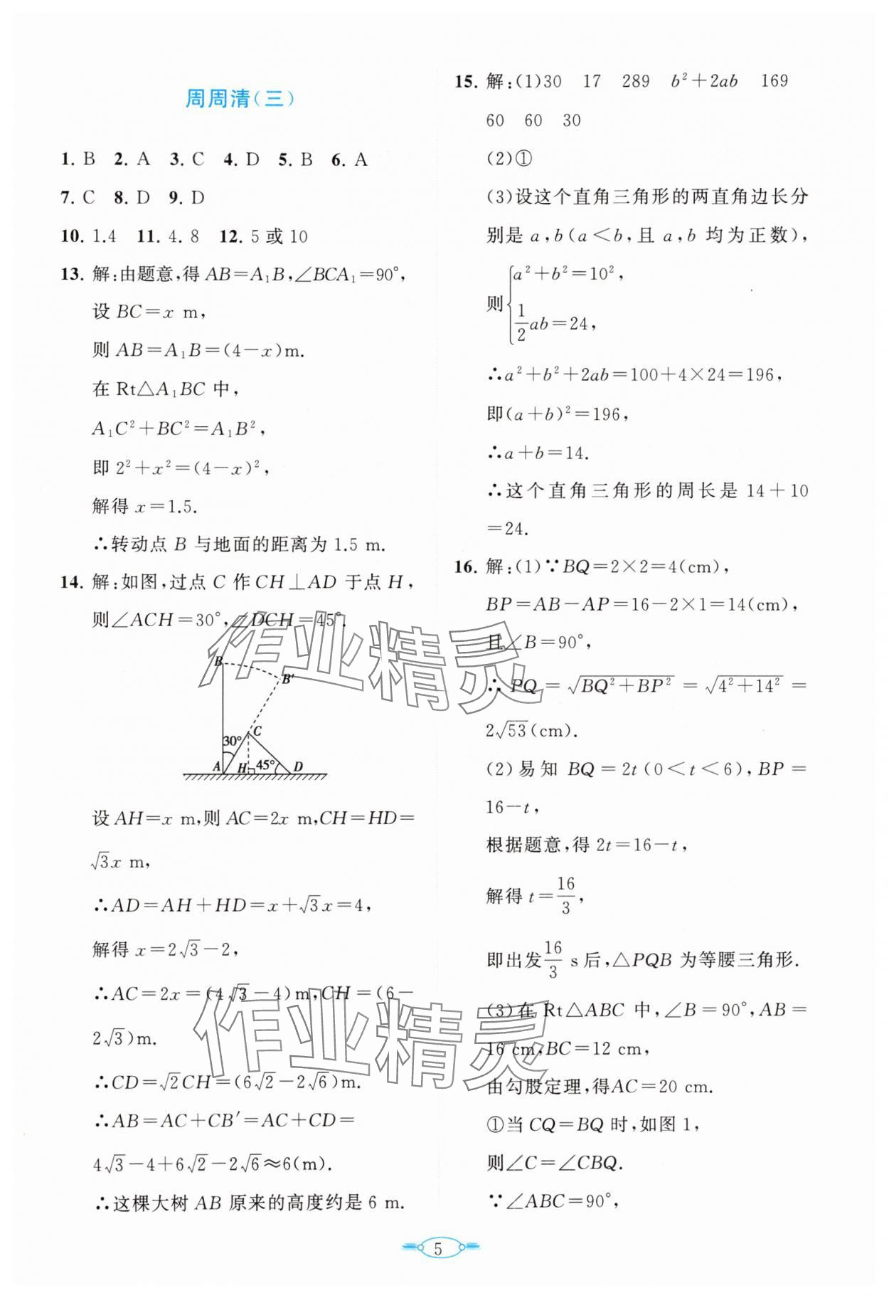 2025年課標(biāo)新卷八年級(jí)數(shù)學(xué)下冊(cè)人教版 第5頁(yè)