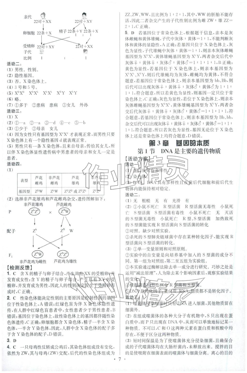 2025年活动单导学课程高中生物必修第二册人教版&nbsp;第7页