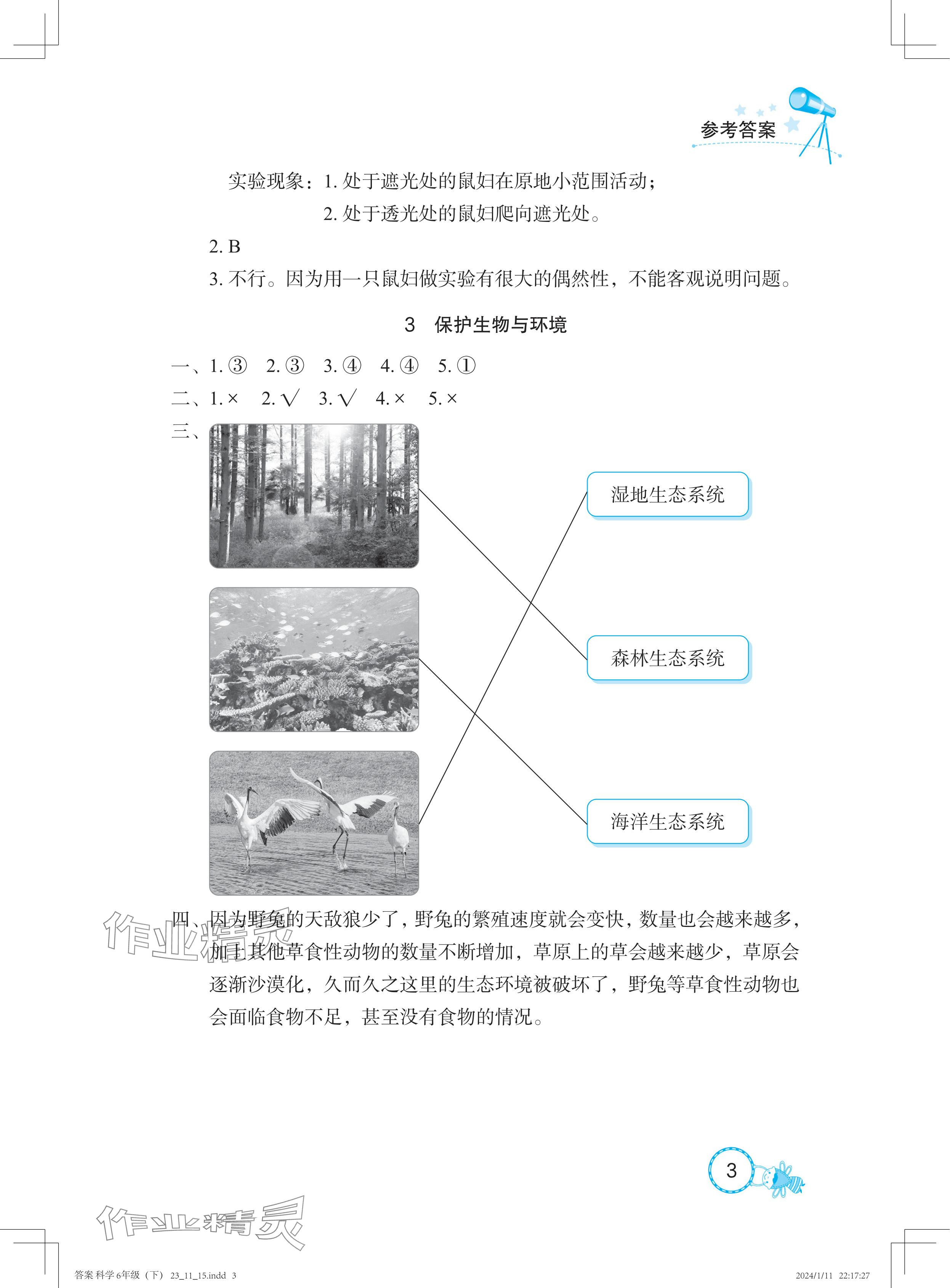 2024年長江作業(yè)本課堂作業(yè)六年級科學(xué)下冊鄂教版 參考答案第3頁