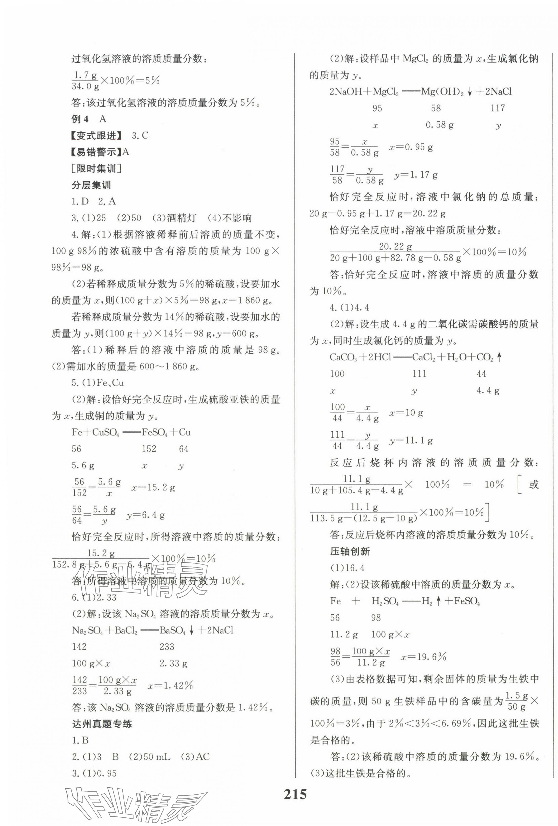 2025年全程奪冠中考突破化學達州專版 第3頁