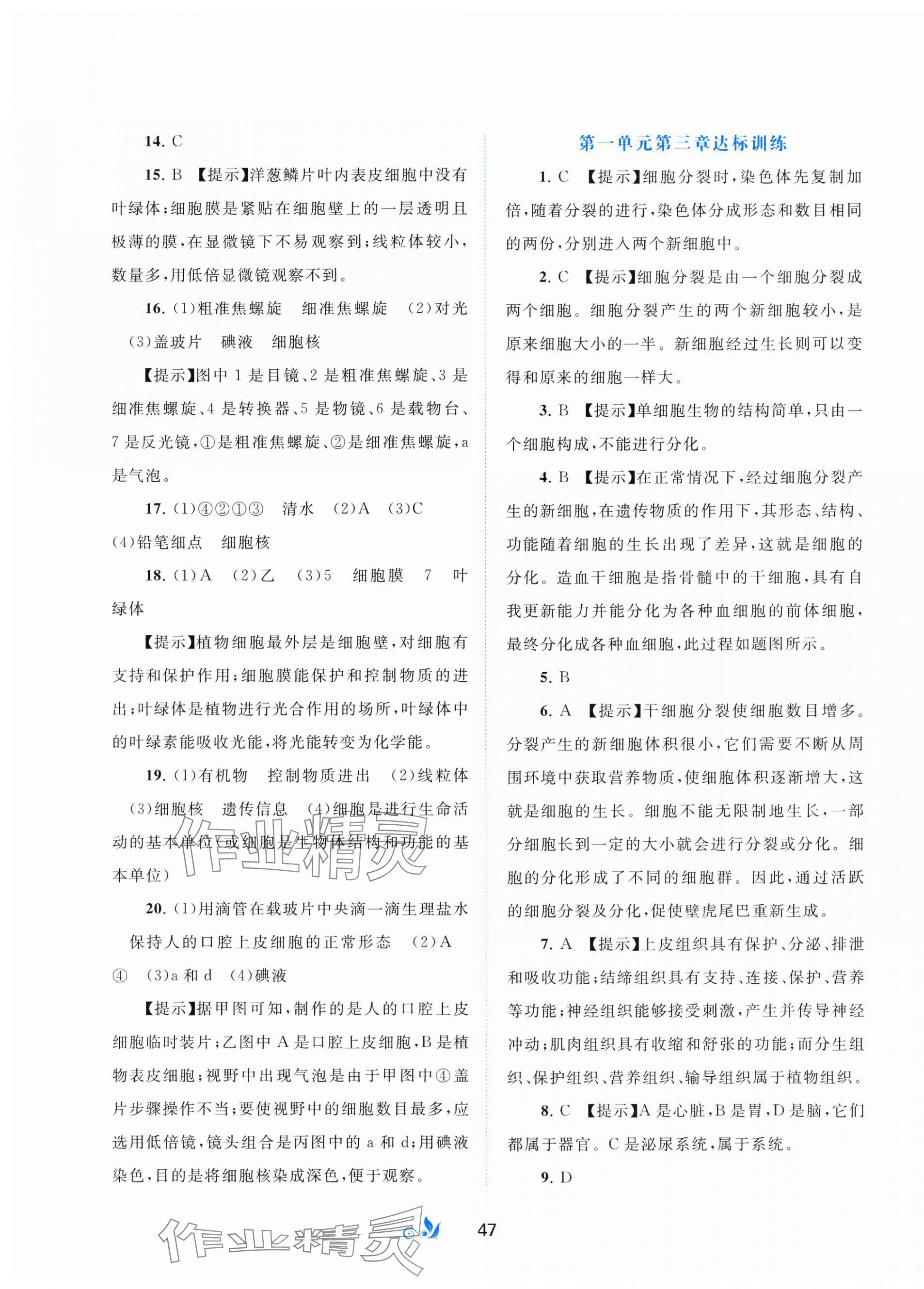 2024年新课程学习与测评单元双测七年级生物上册人教版A版 第3页